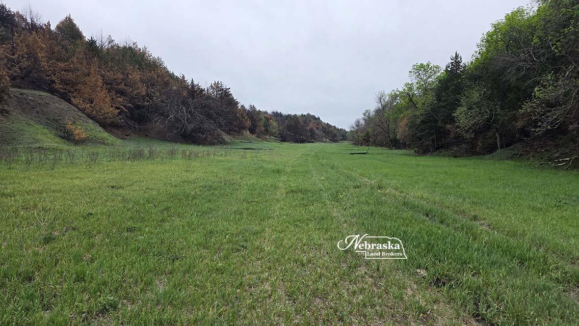 Snell Canyon Road Ranch - Lincoln County NE -- NEW PRICE!!