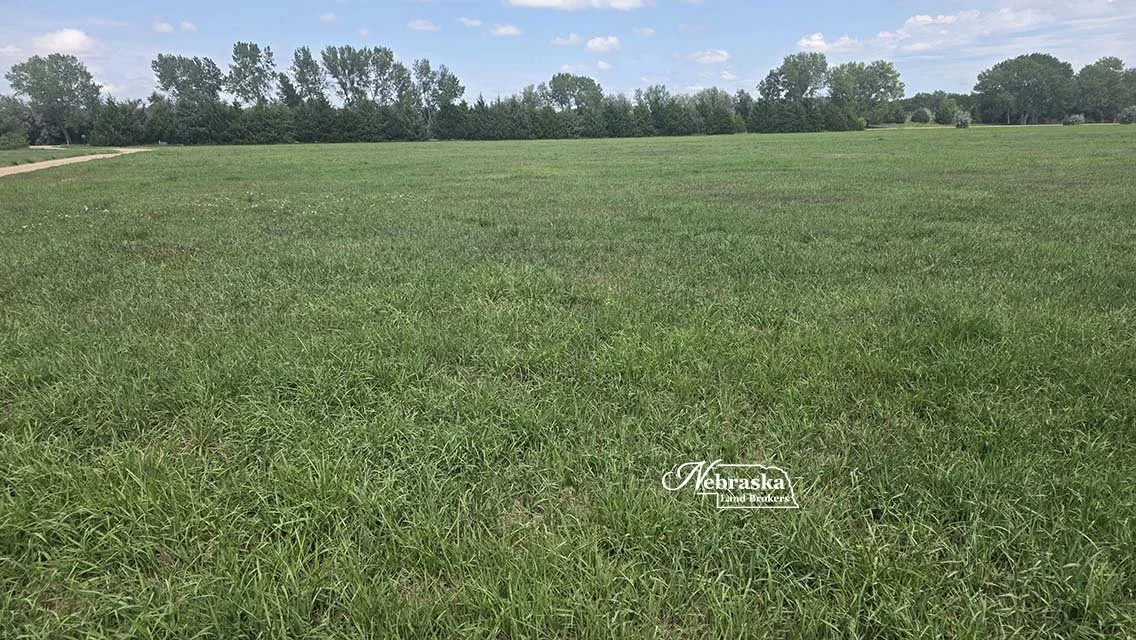 Hidden Lake Acreage (22).jpg