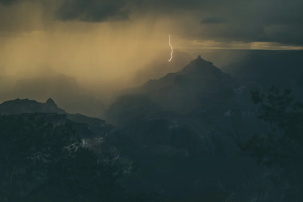unsplash-image-Tj8sX69FRxw.jpg
