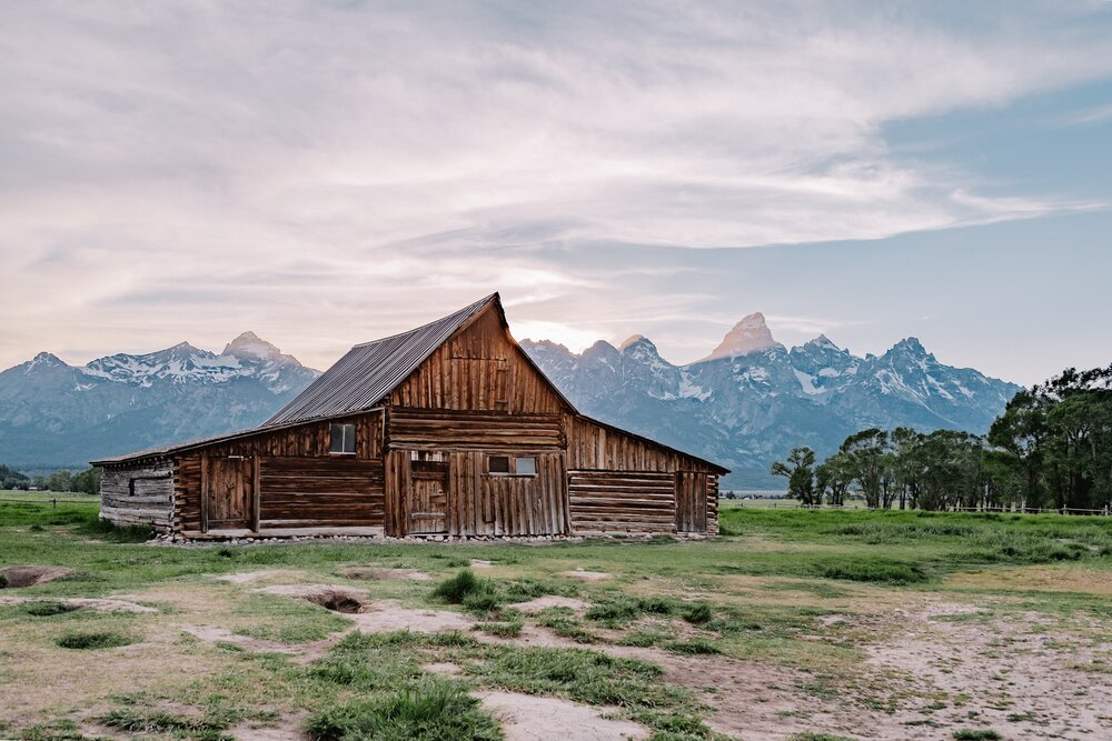 unsplash-image-ZCAiJPiO_98.jpg