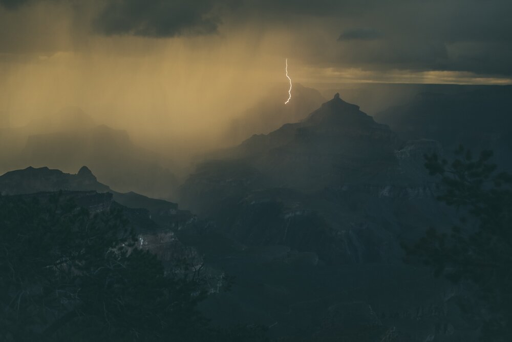 unsplash-image-Tj8sX69FRxw.jpg
