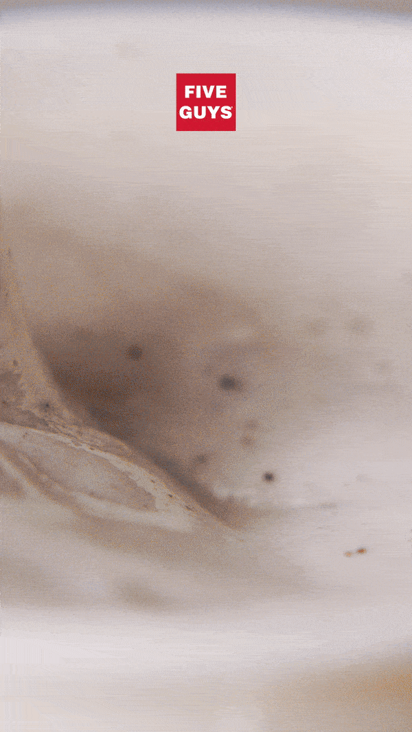 17089480-f594-41c1-985b-d83406ffe754.gif
