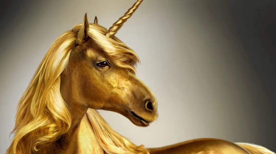 patrickgraf_pitch_goldenunicorn_tumb.jpg