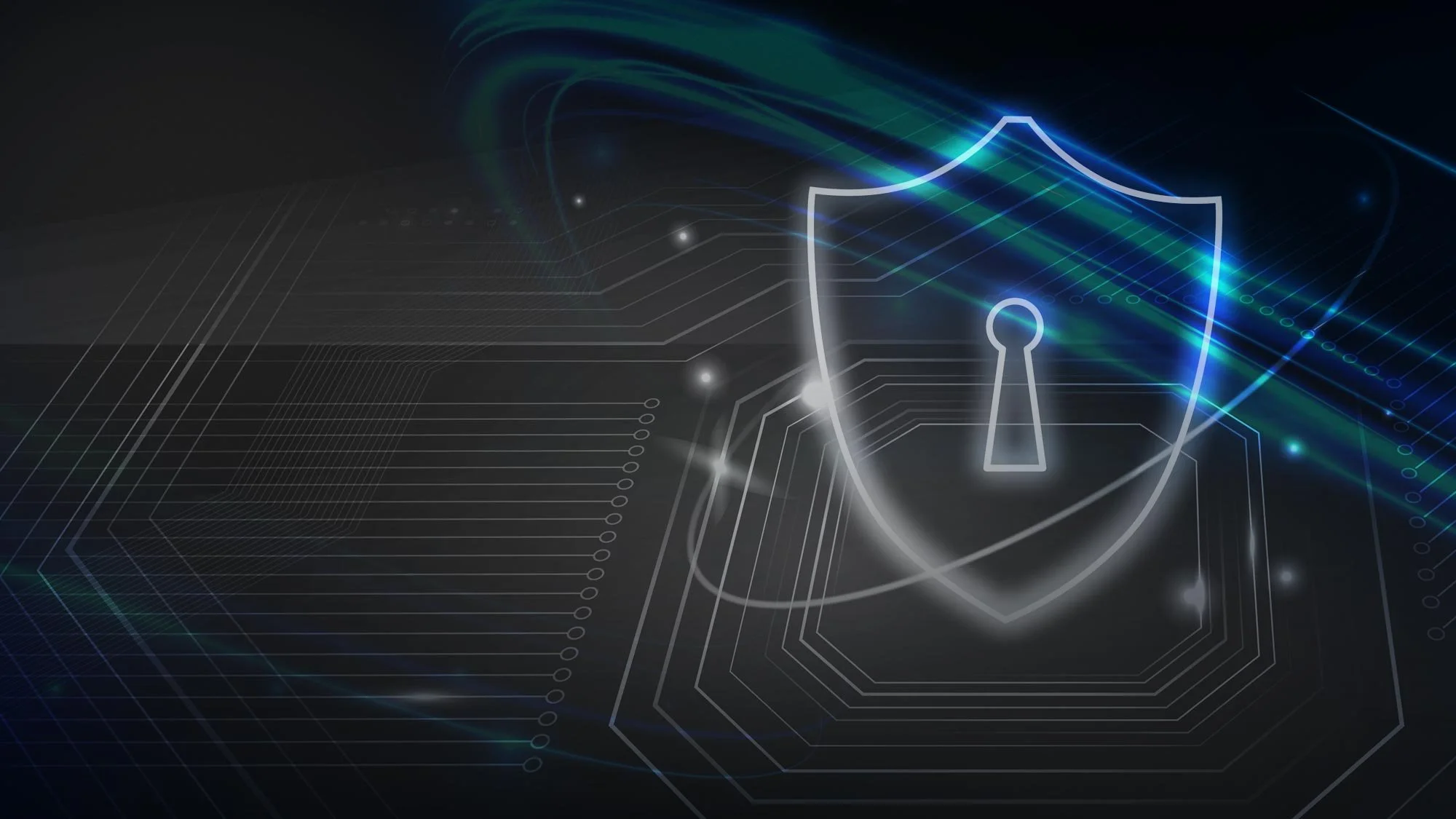 privacy-header.jpg