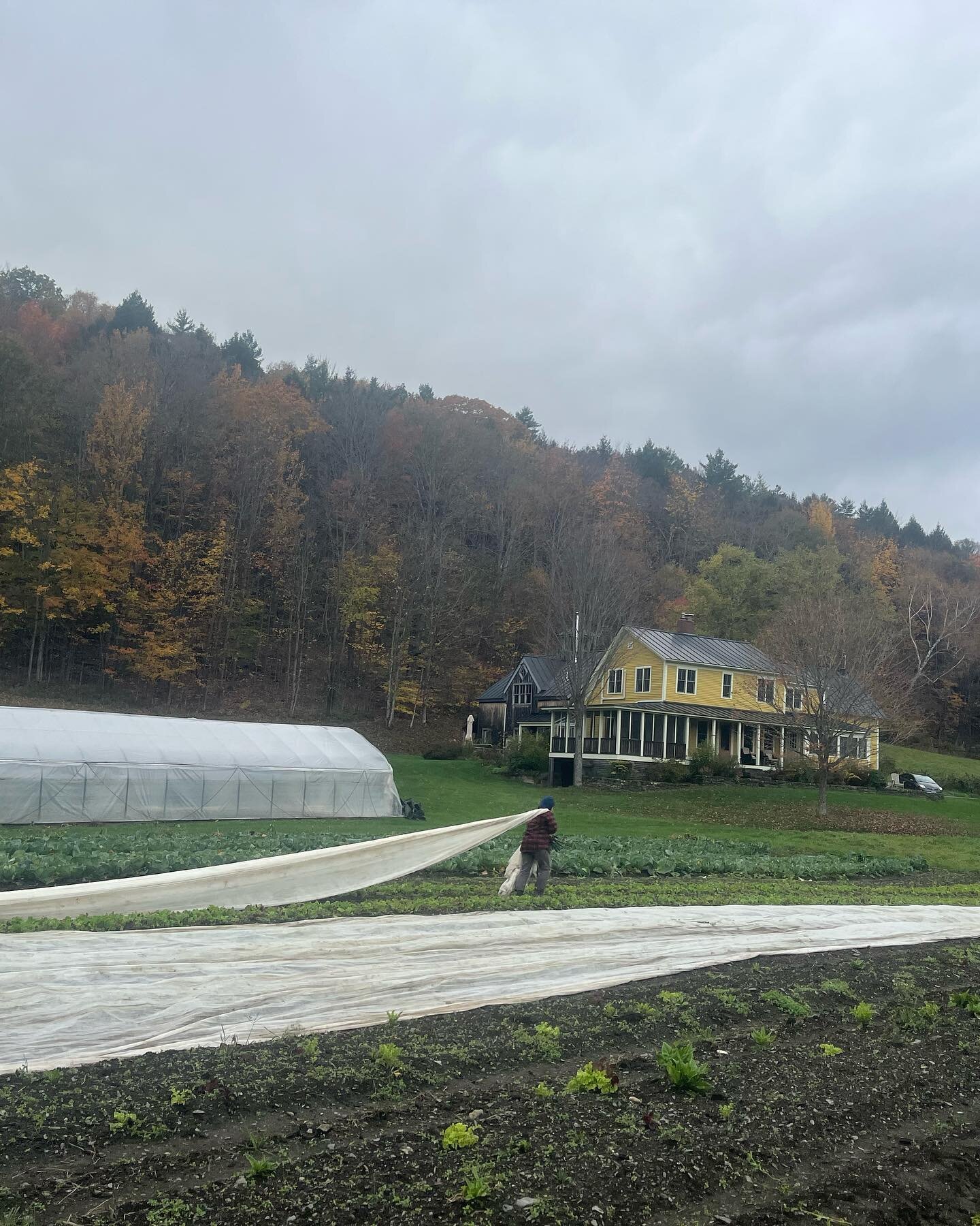 We still have some space in our &ldquo;Winter&rdquo; share. Really it&rsquo;s a Fall share that ends right as Winter steps in but it will be darn chilly so we&rsquo;ll keep calling it that. Pick ups are at the farm biweekly in November and December. 