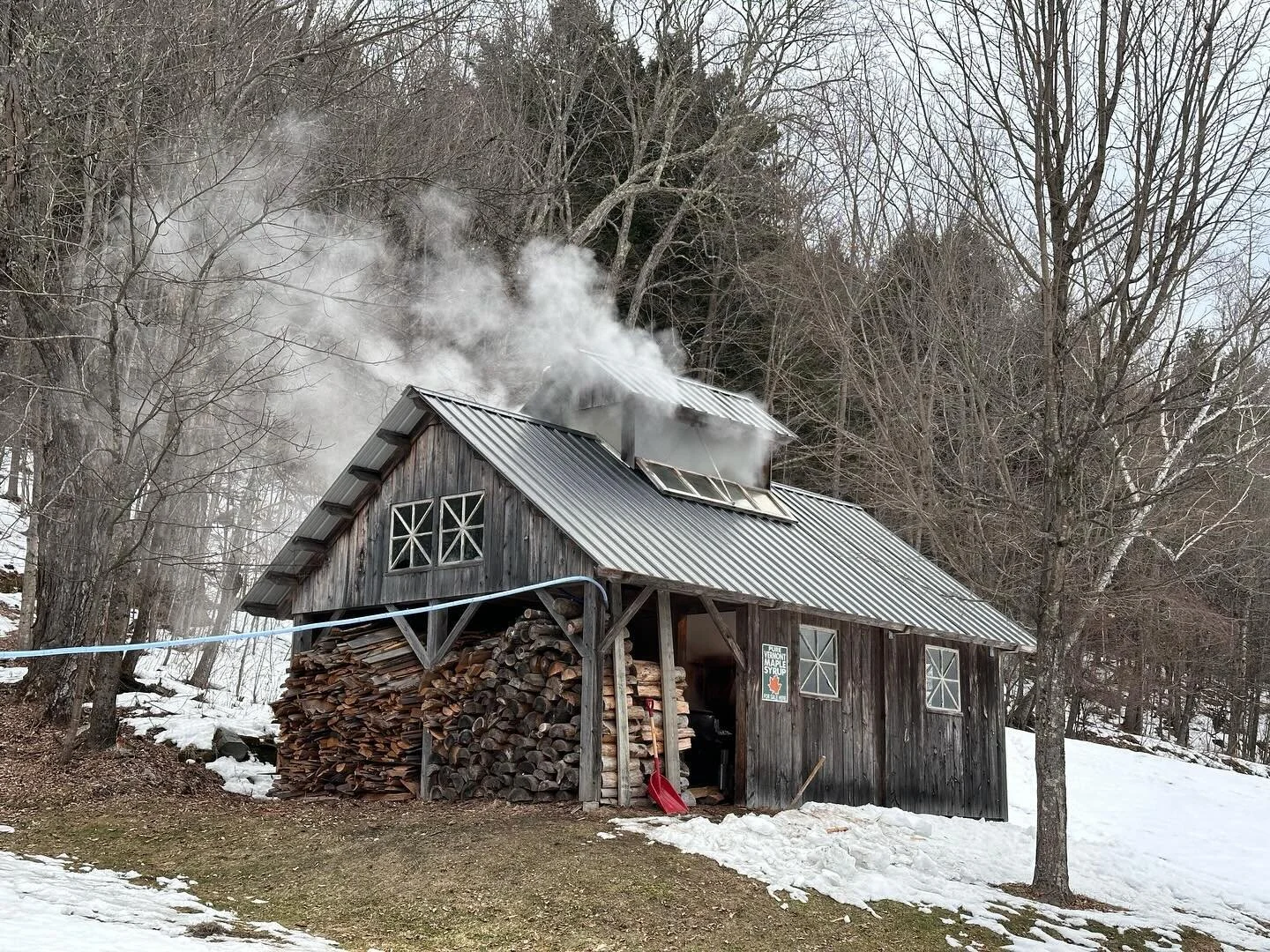 Despite the calendar, sugaring is underway. We made some gorgeous and tasty syrup over the weekend - there&rsquo;s nothing better than the first draw. The spidery-looking tubes in the woods are a sap ladder, new this year, that helps move sap through