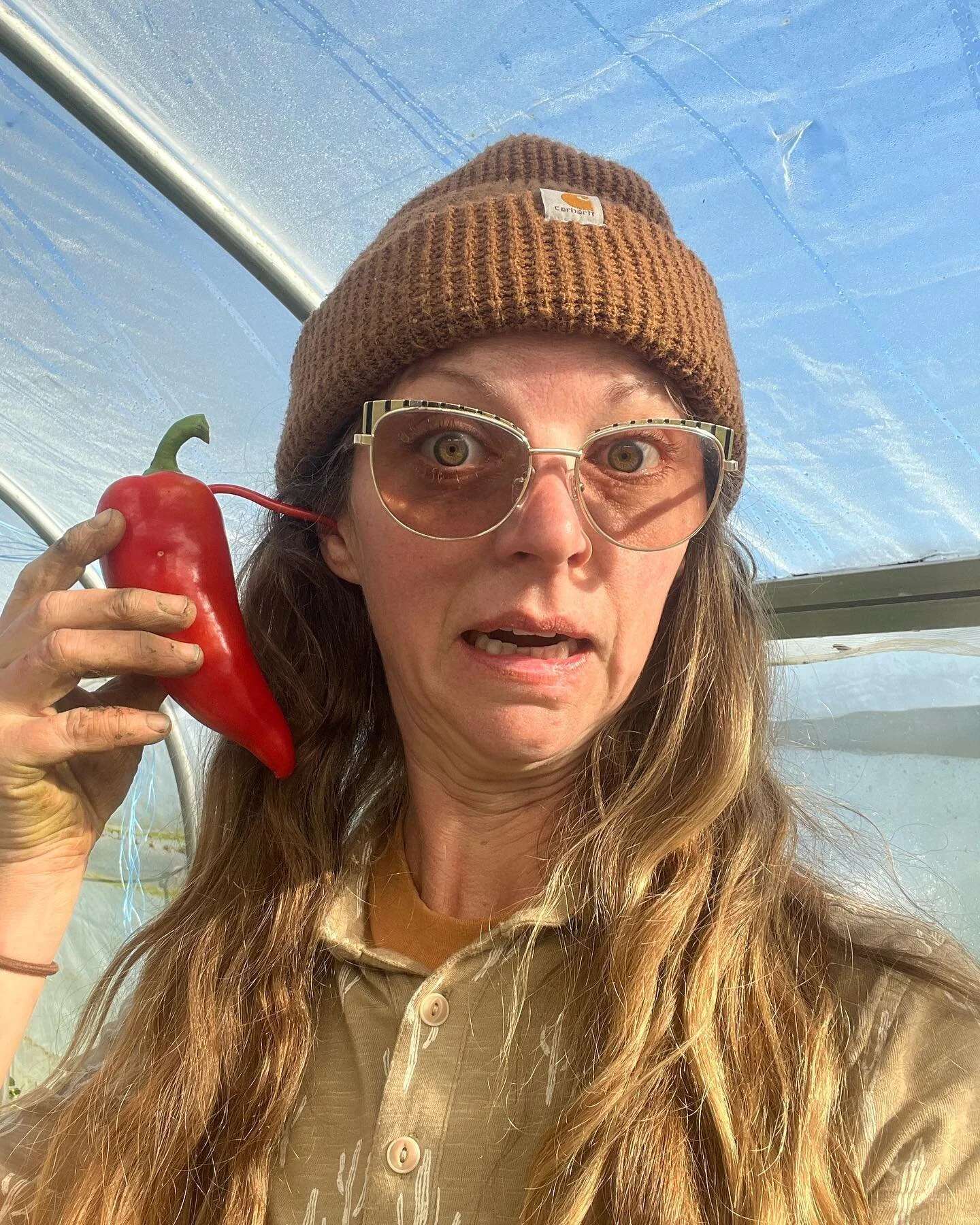 We had peppers on our minds last week. No really, these peppers took over our brains?!?!

We picked out and pulled out our  peppers plants to make way for our final plantings of Winter greens. Replacing them with spinach, a sweet and spicy mustard an