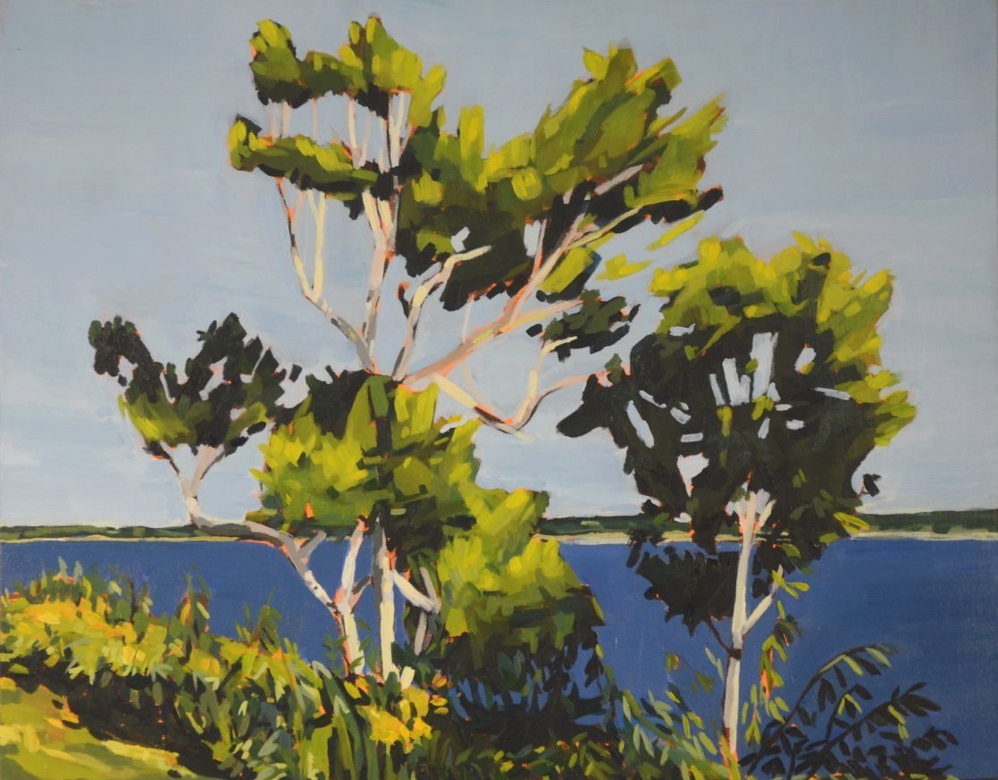 godin01_Birch_Shoreline_acrylic_16x20.jpg