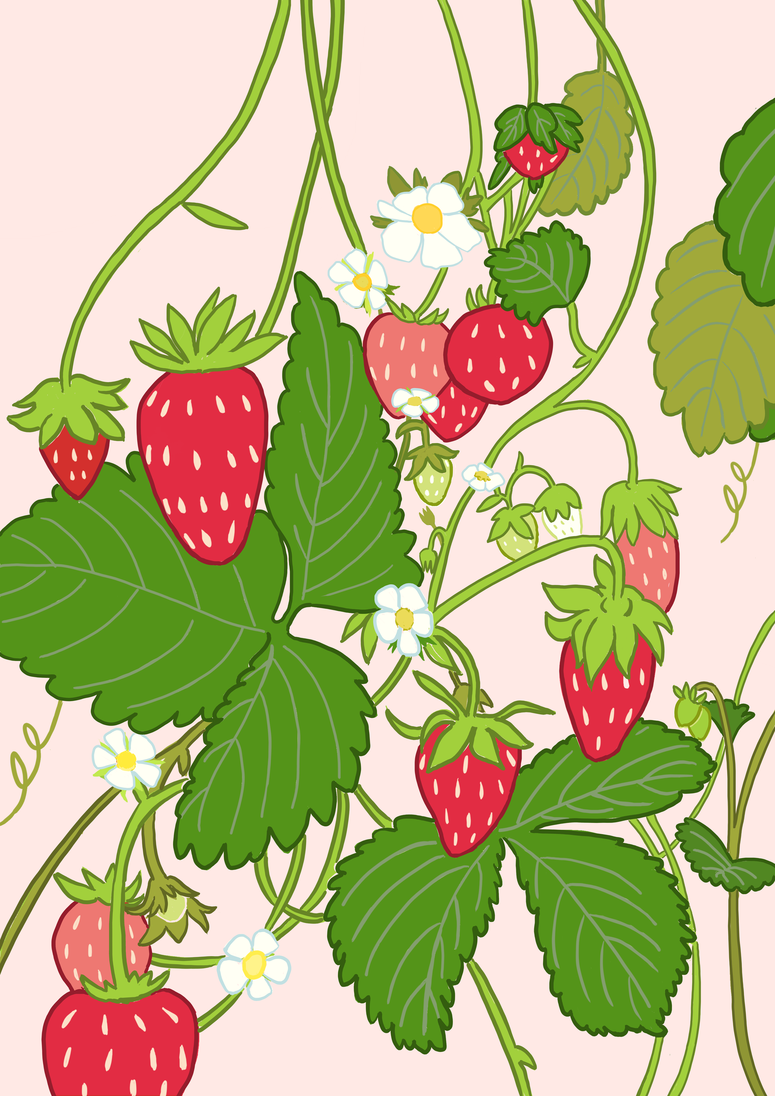 strawberry_card3.png