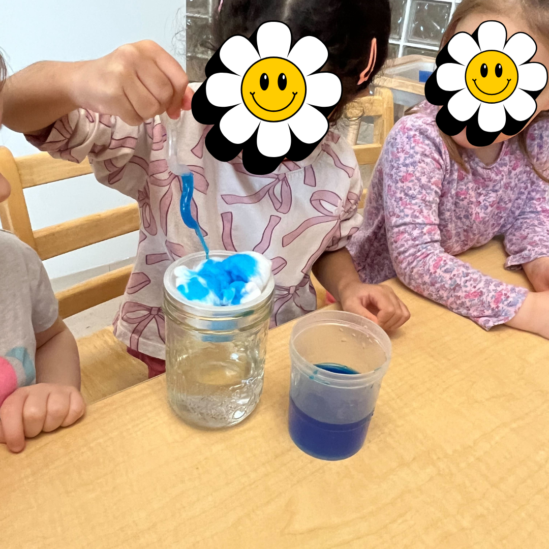 Untitled design2.png