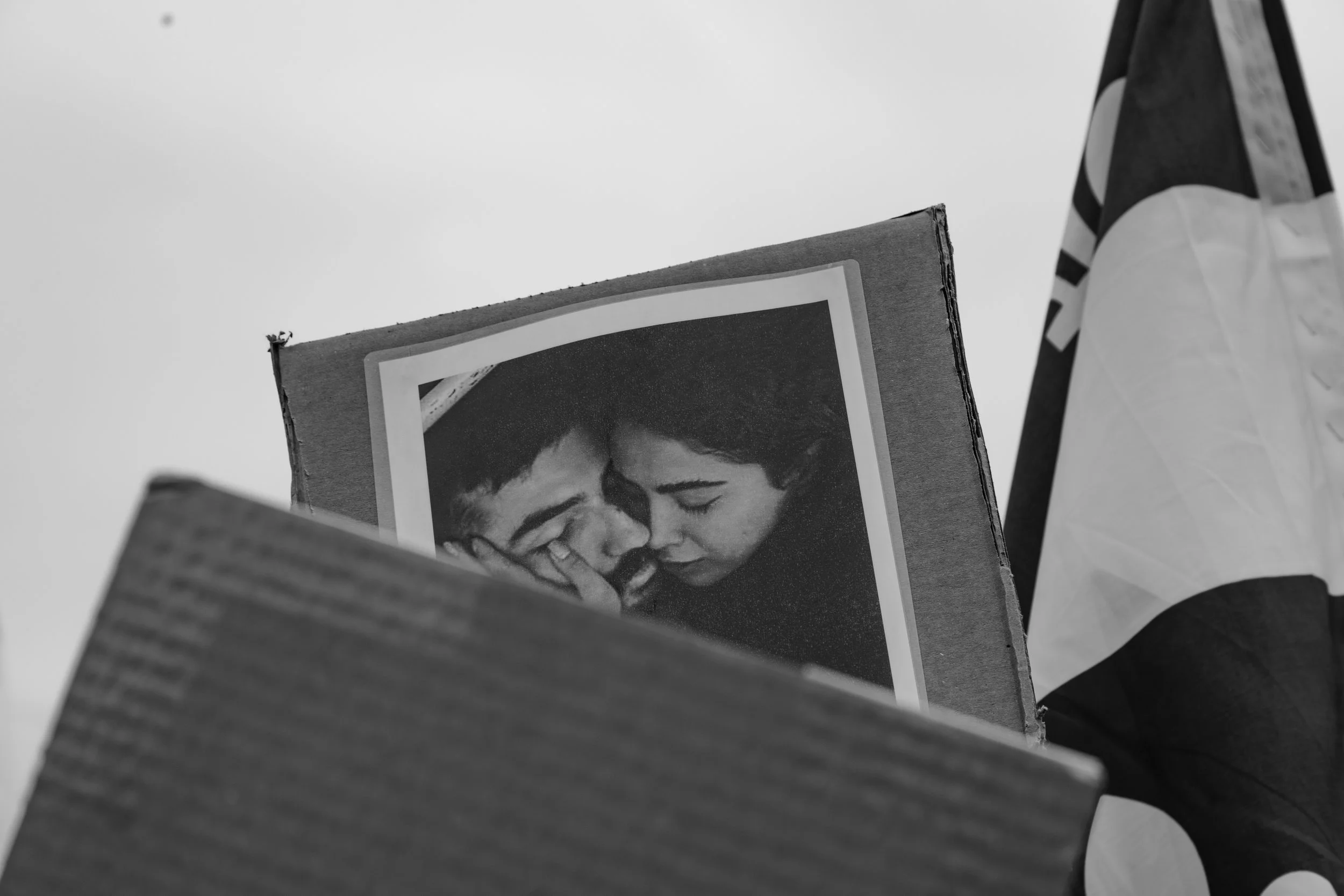 protest 2026 steeles-10.jpg