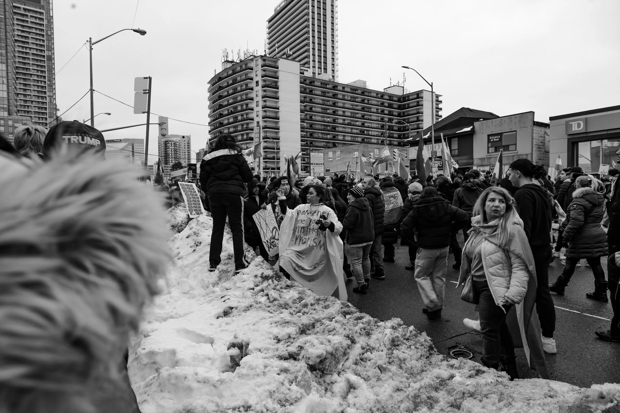 protest 2026 steeles-16.jpg
