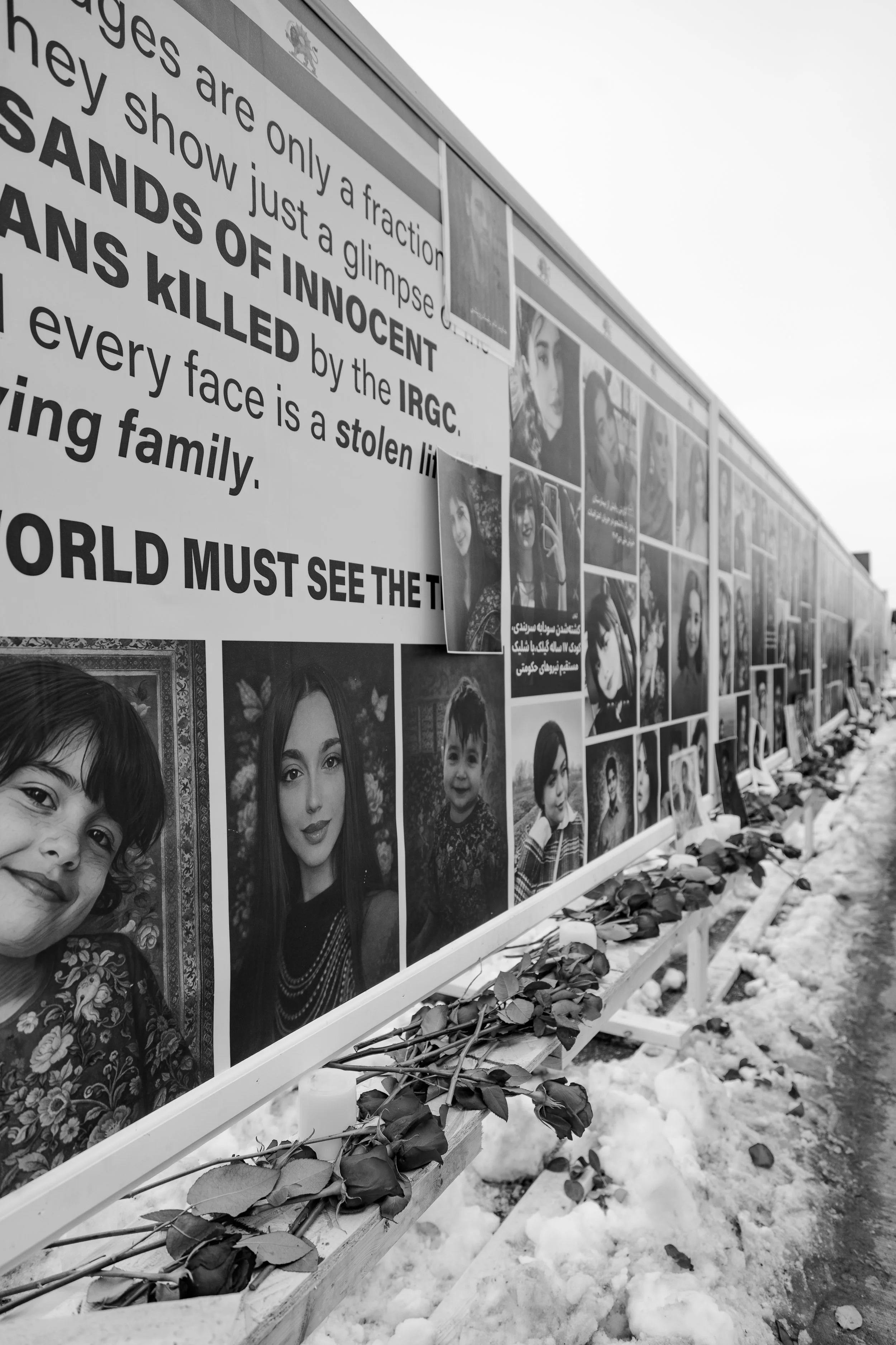 protest 2026 steeles-38.jpg