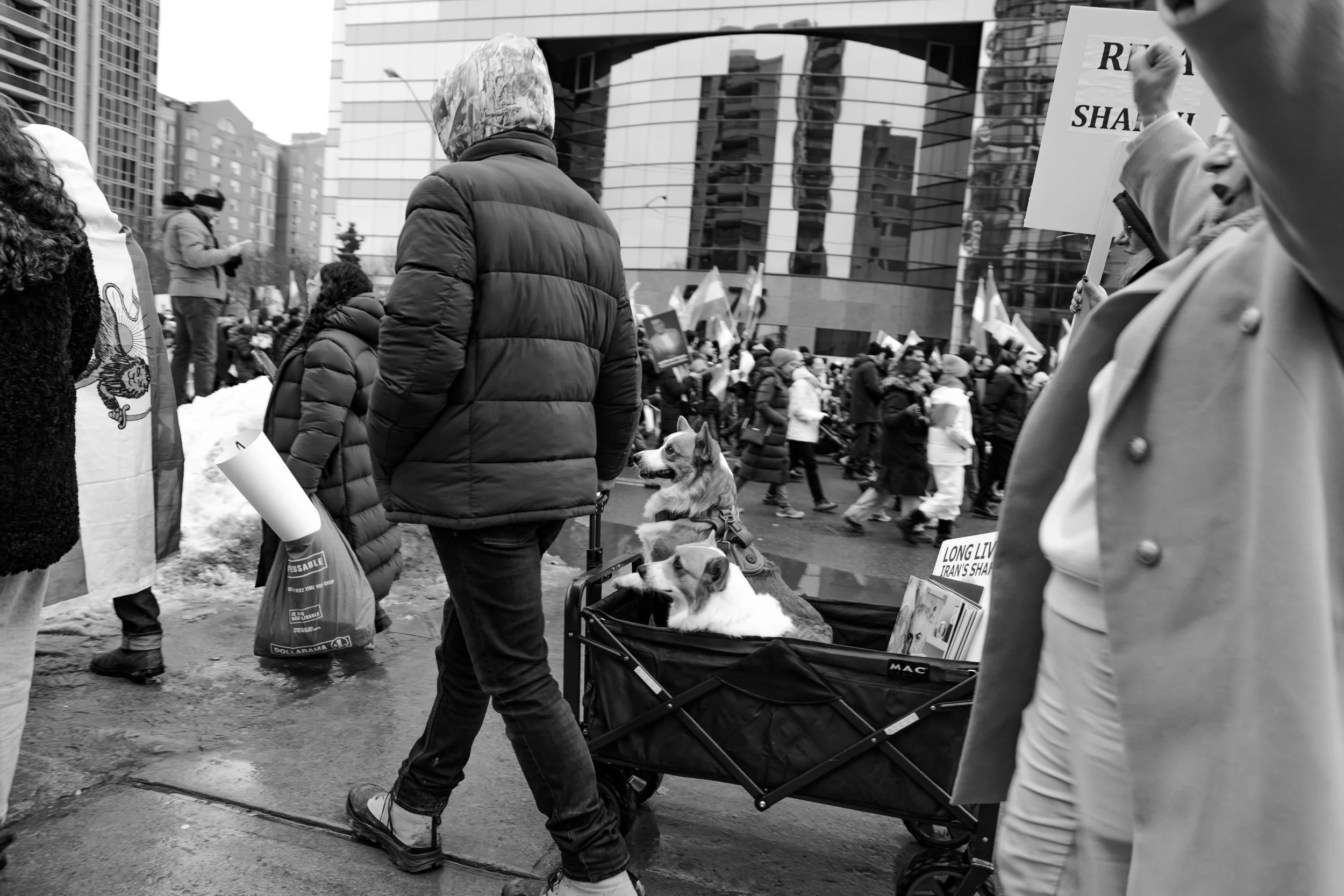 protest 2026 steeles-22.jpg