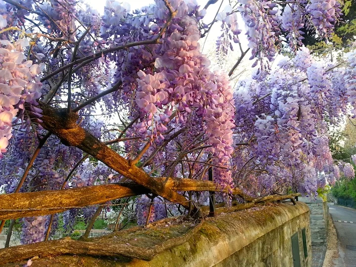 20140407_071400.jpg