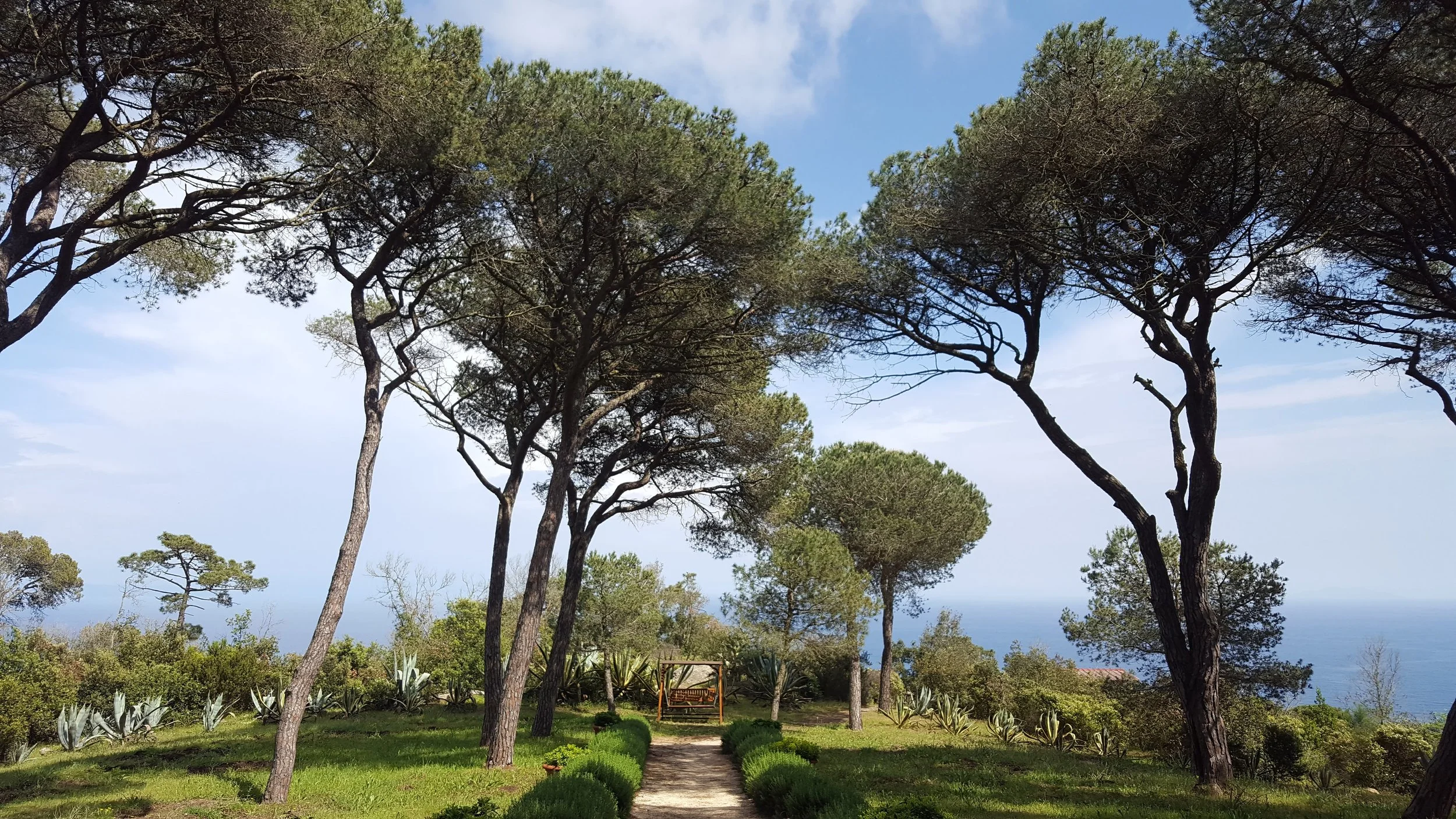 Tenuta delle Ripalte