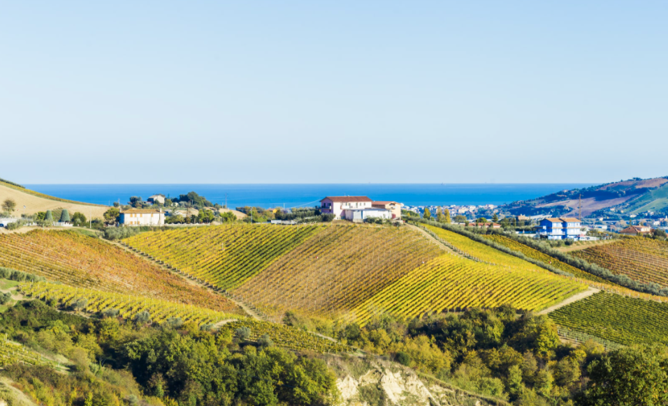 Screen Shot 2021-04-05 at 2.23.29 PM.png