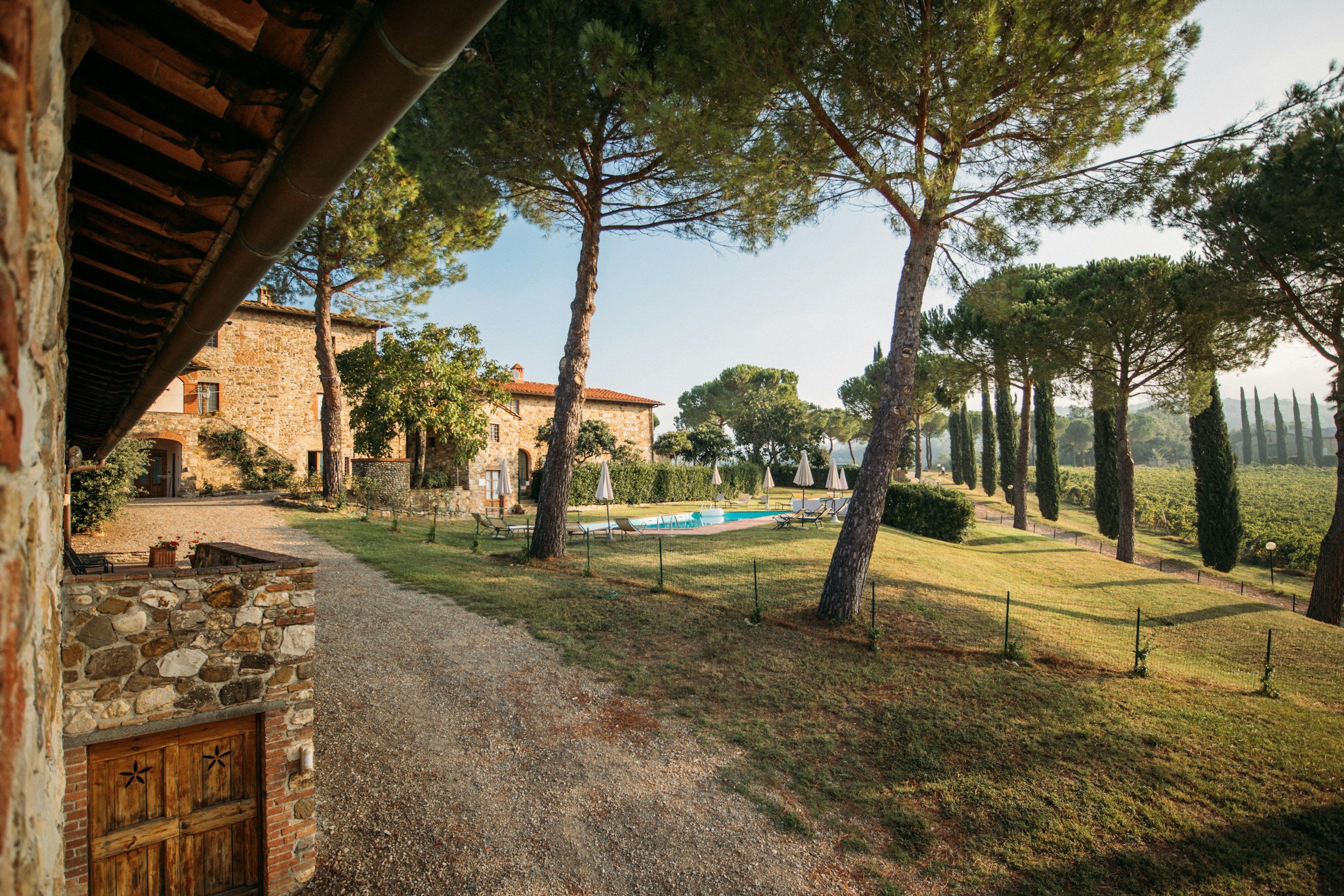 Tuscan villa with vineyard and pine trees outside Florence - hosted Tuscany food and wine week