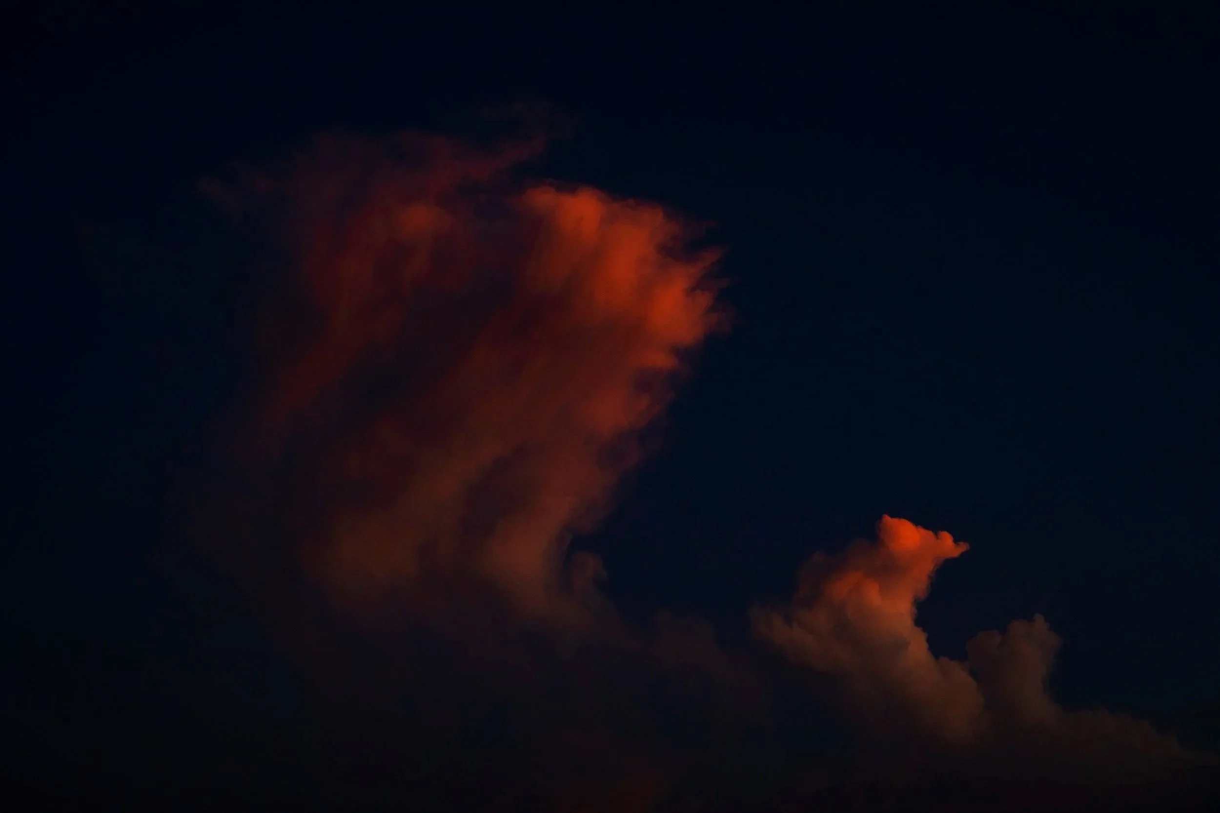 4W7A9525.jpg