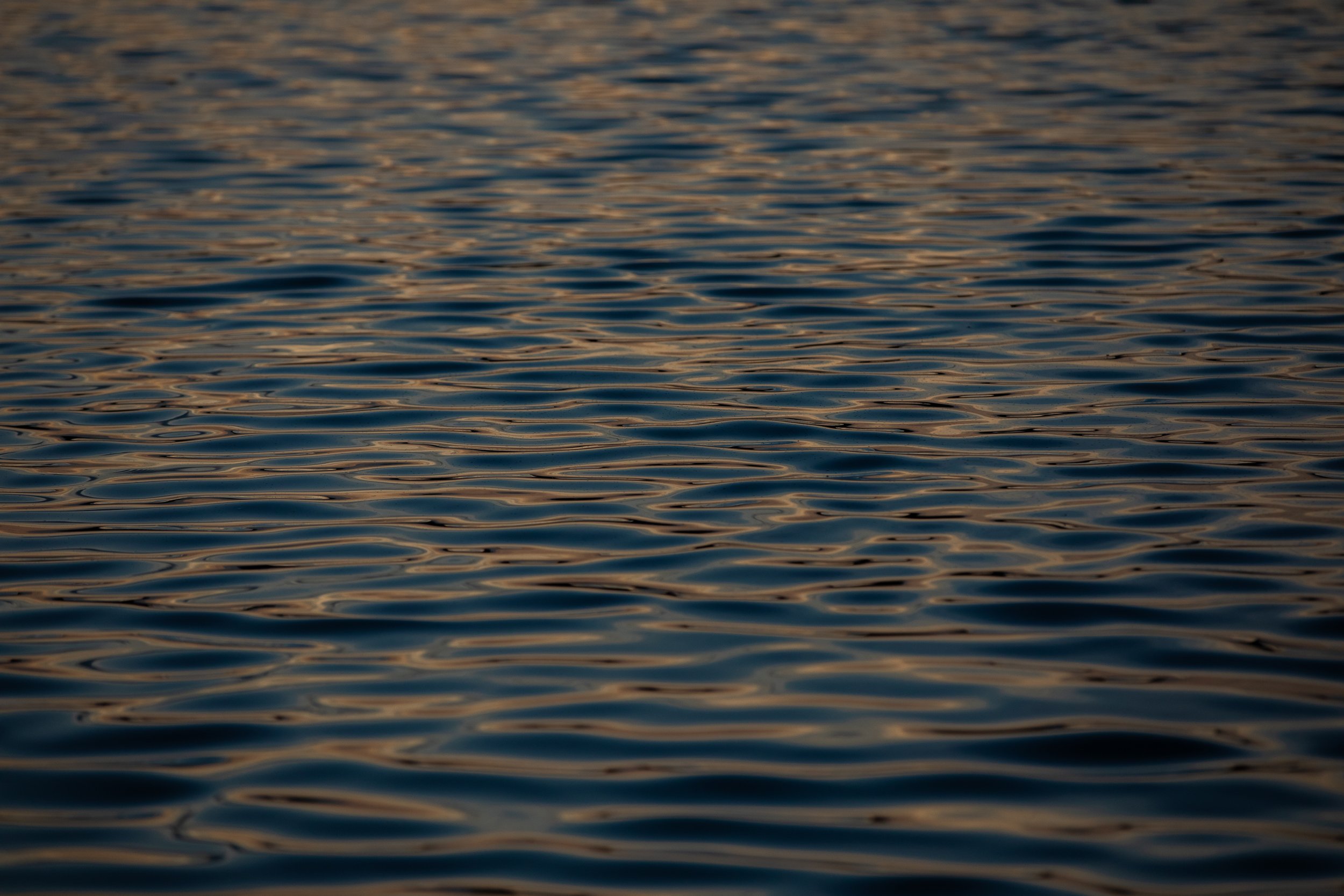 4W7A4311.jpeg
