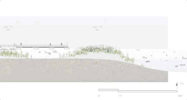 00_LeadingImage-GIF_Pier03.gif