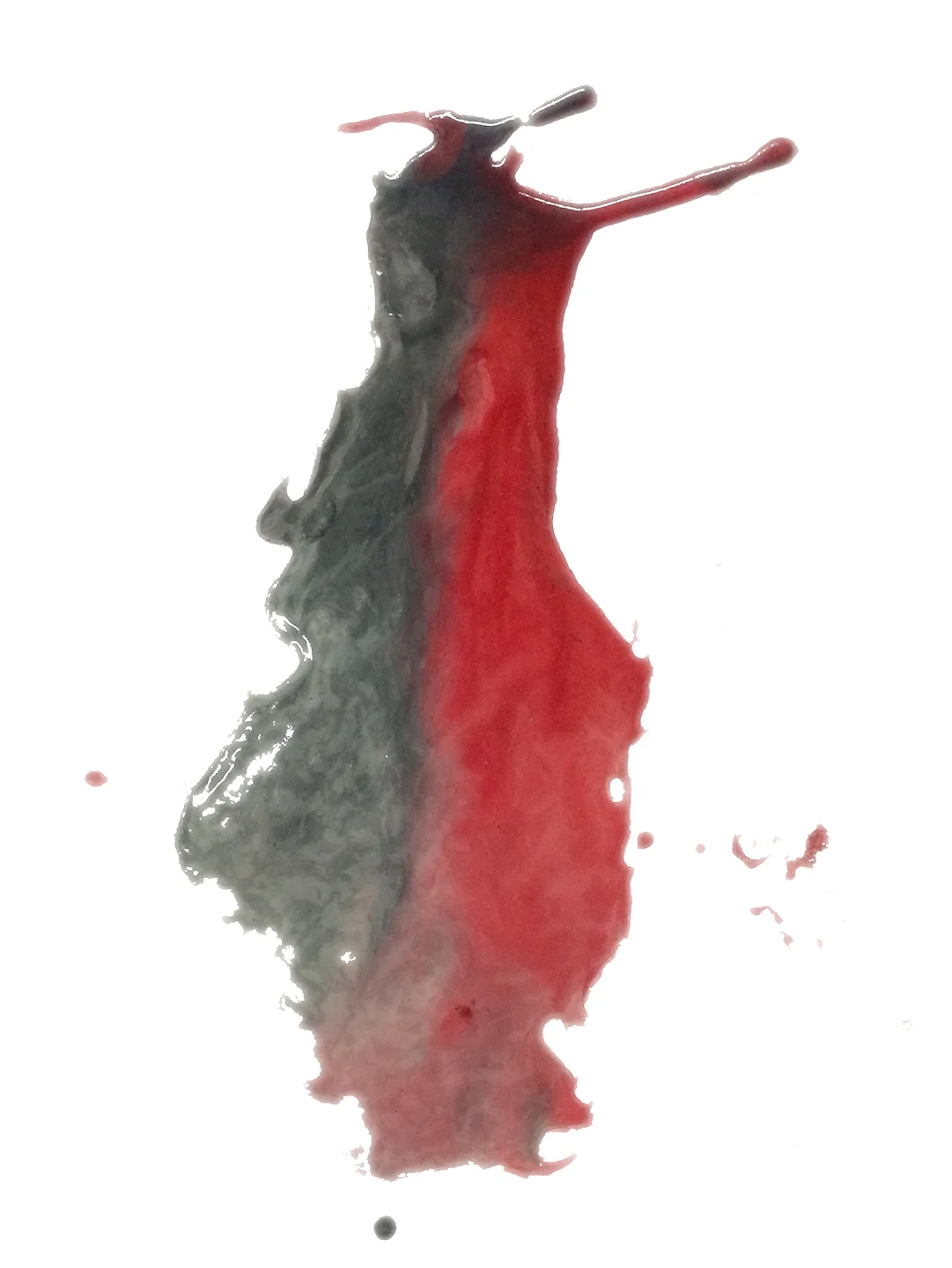 resin section 1.jpg
