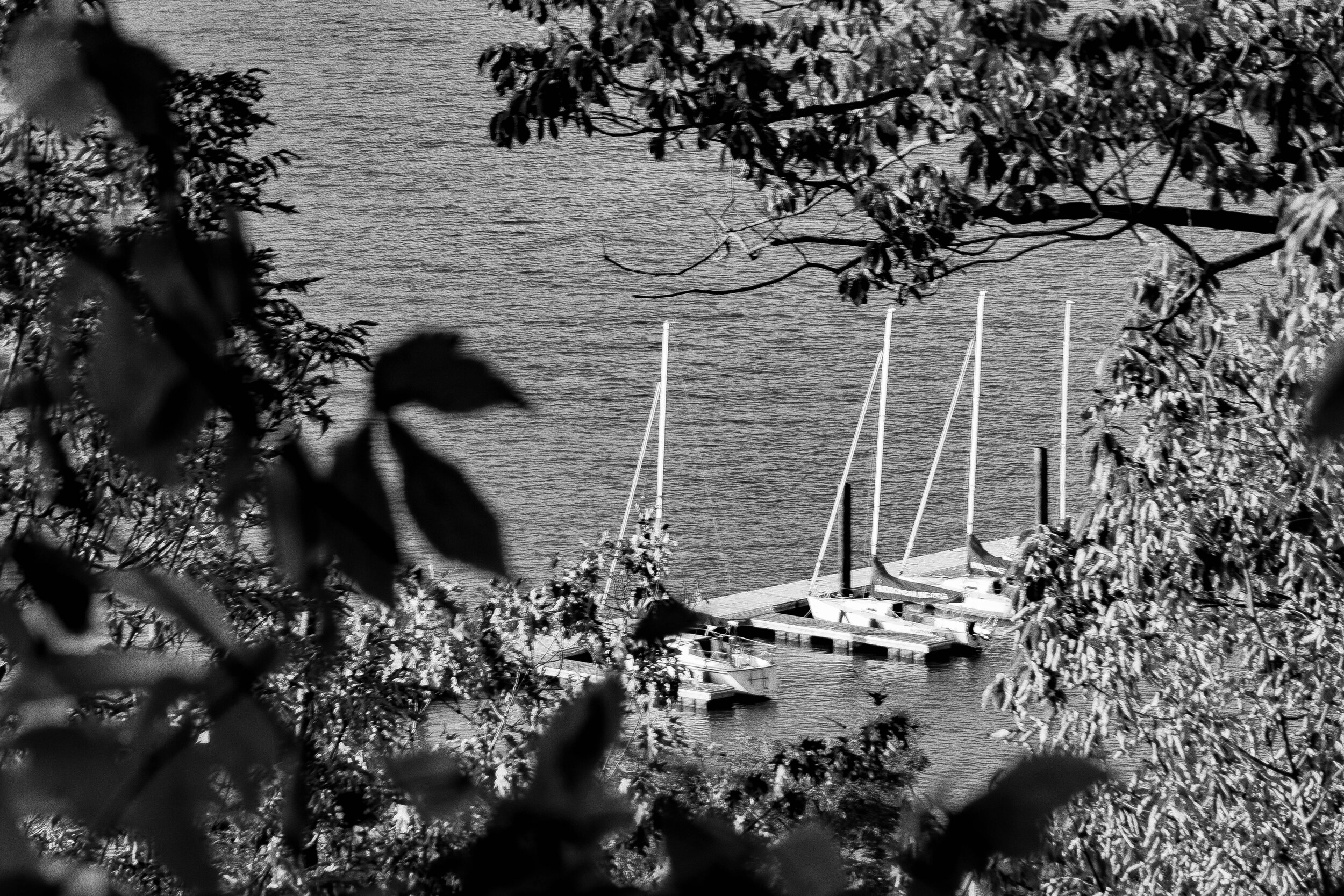 Boats - B+W.jpg