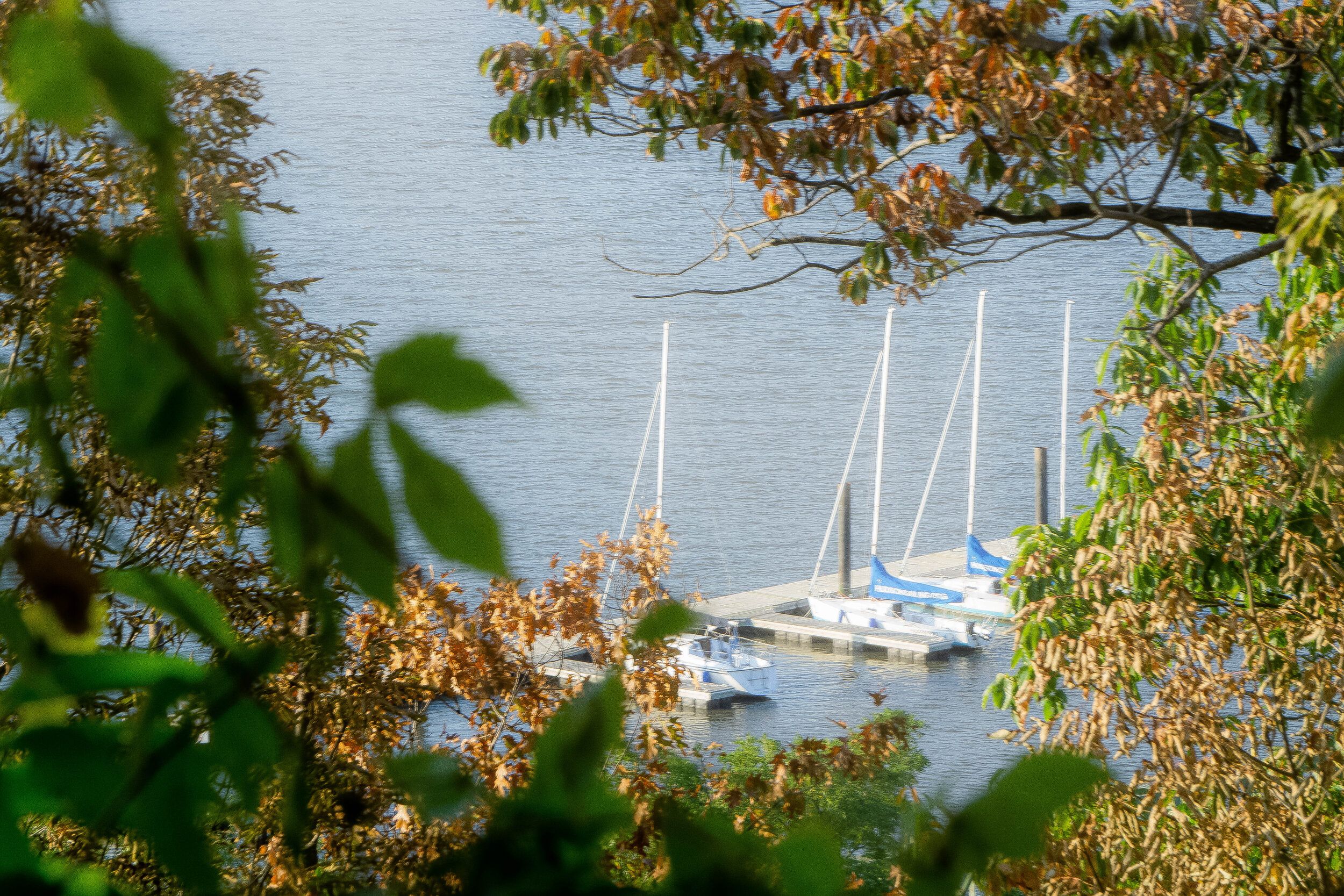 Boats - Color.jpg