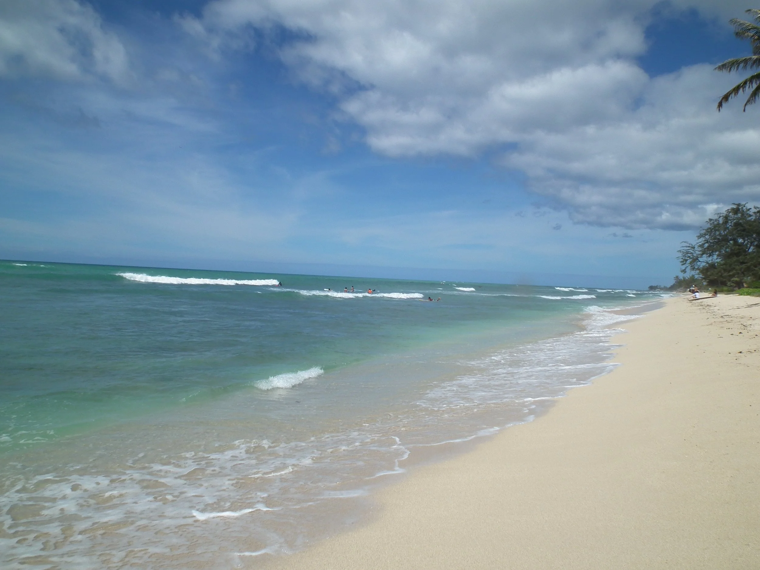 DSCF4718.jpg