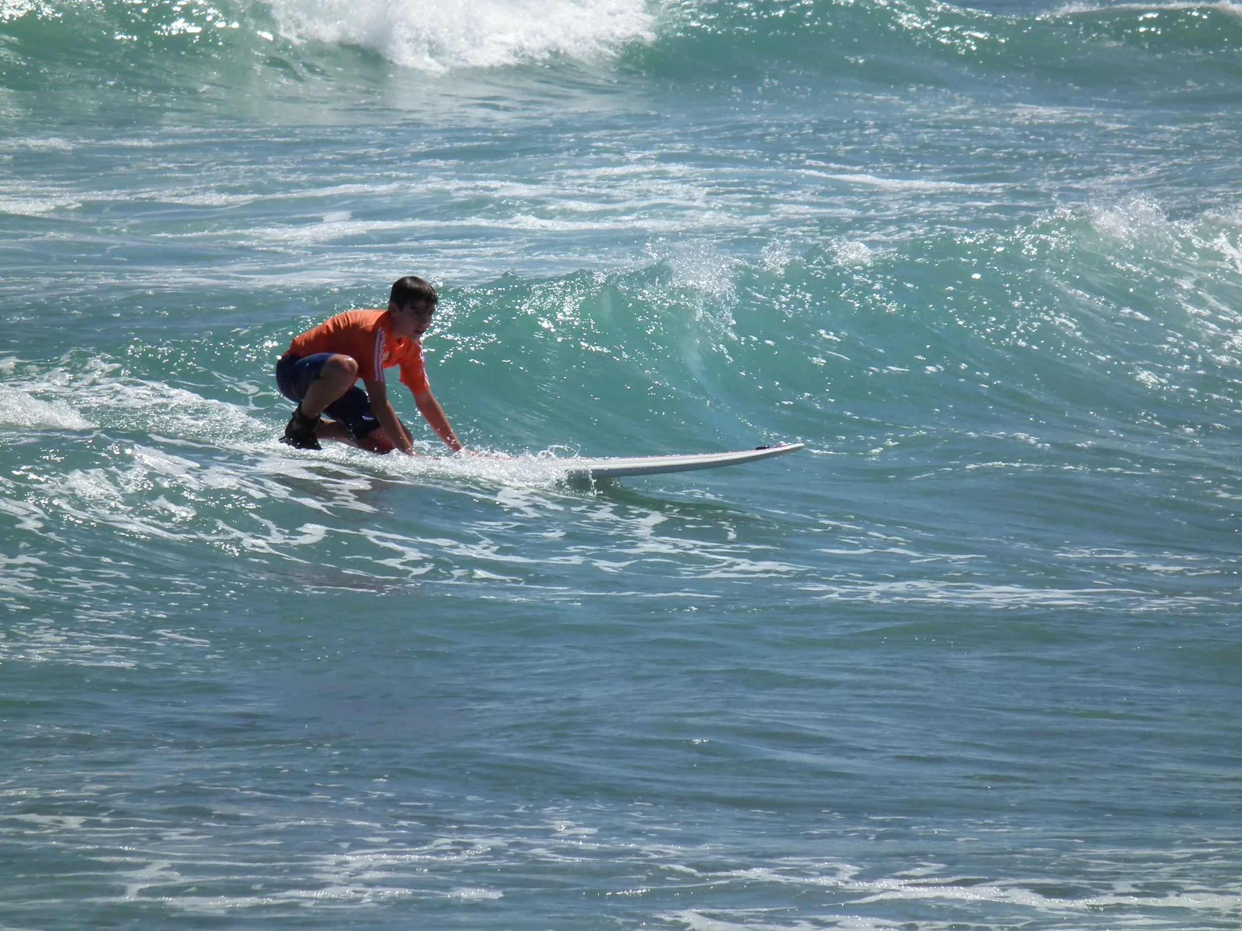 DSCF4755.jpg
