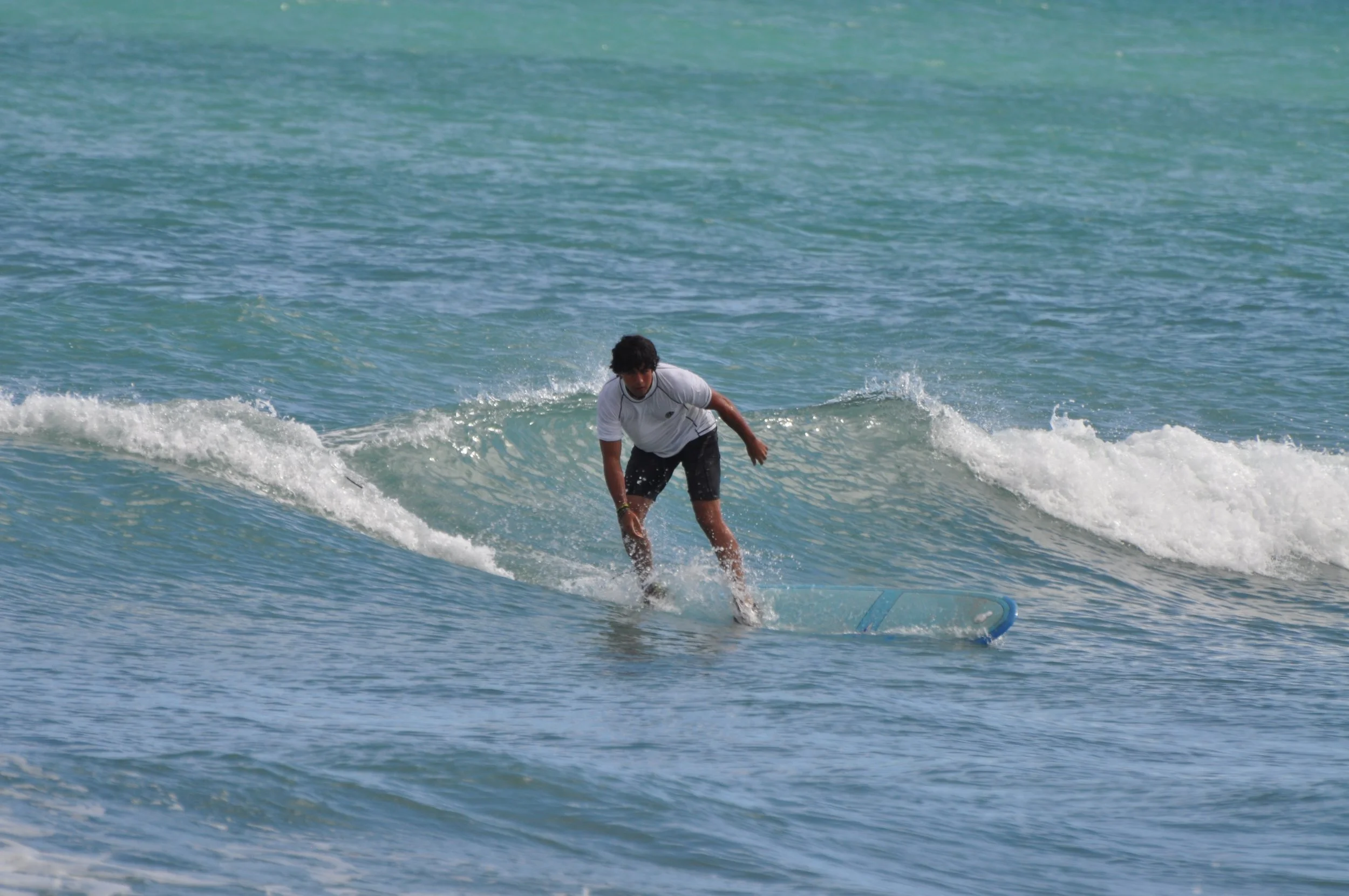 DSC_0221.jpg