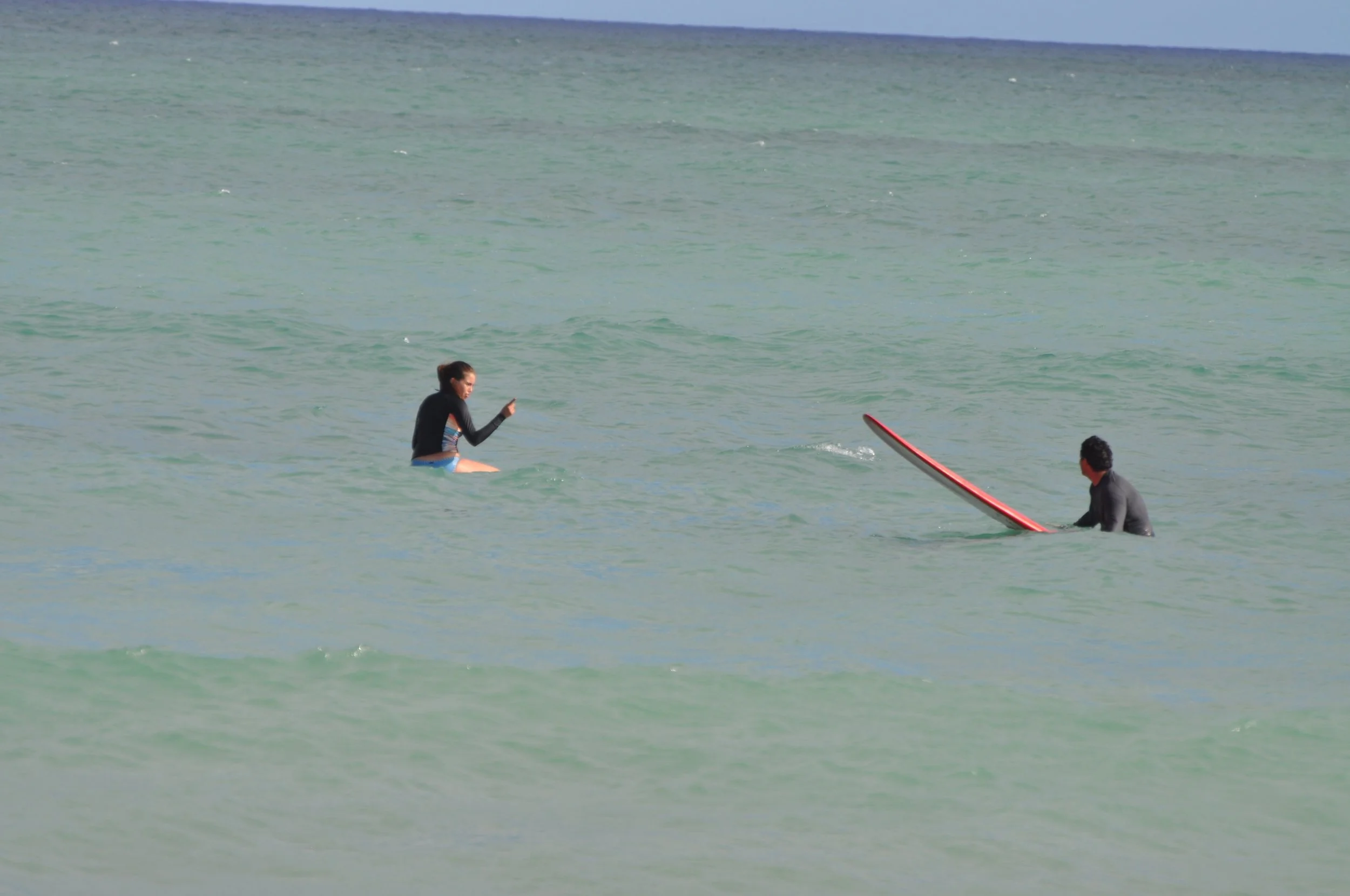 DSC_0309.jpg