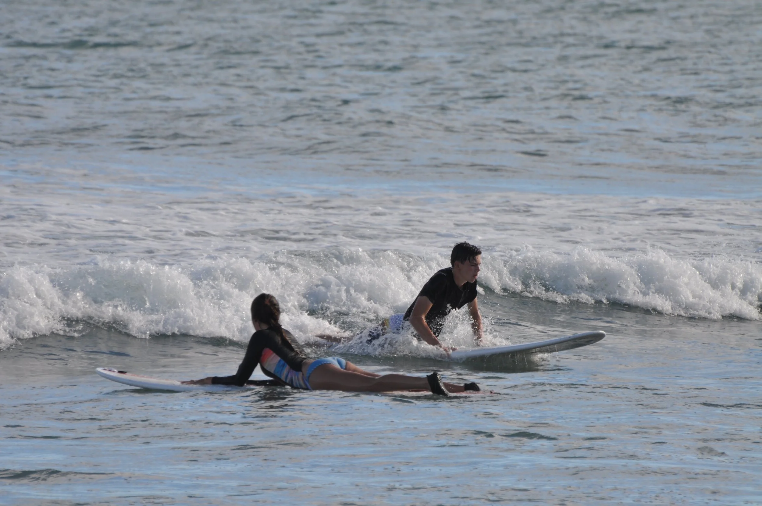DSC_0391.jpg