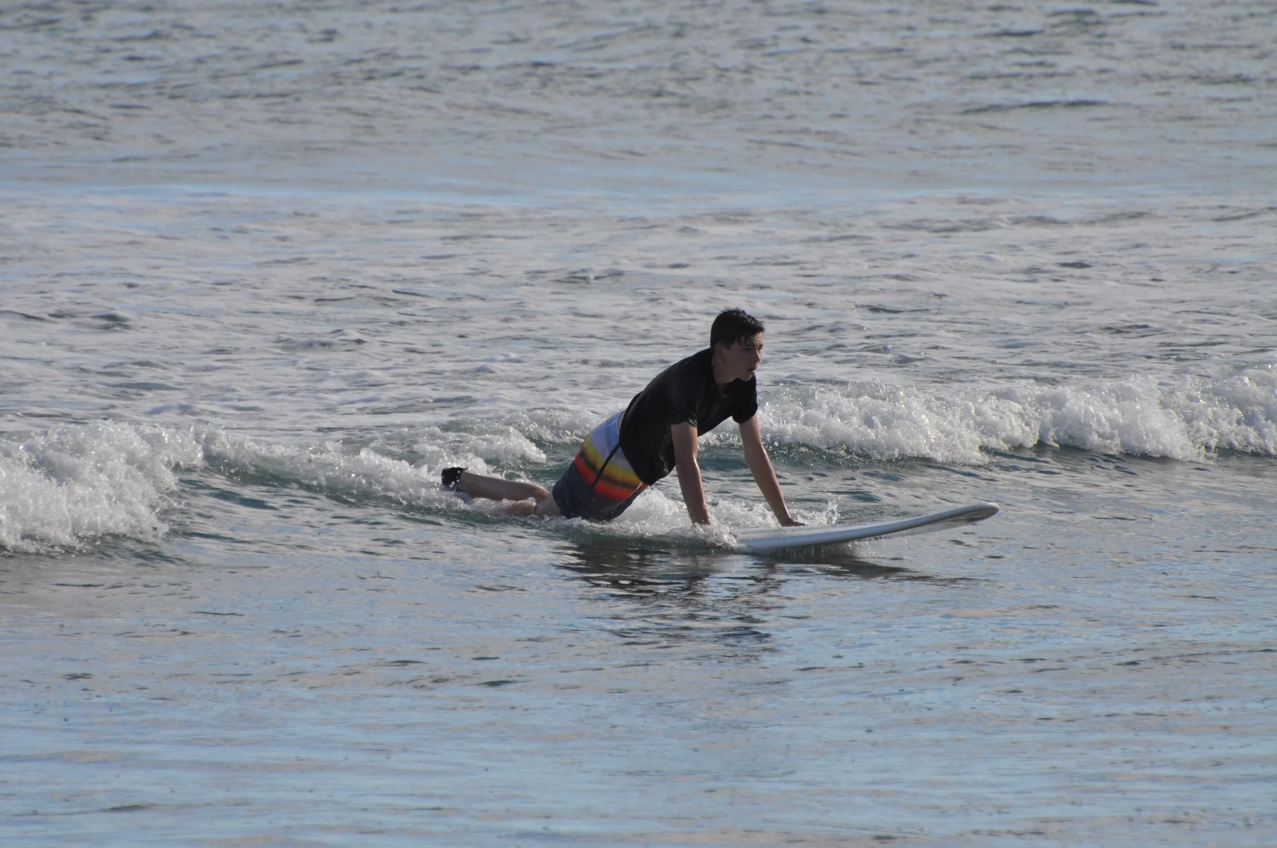 DSC_0393.jpg