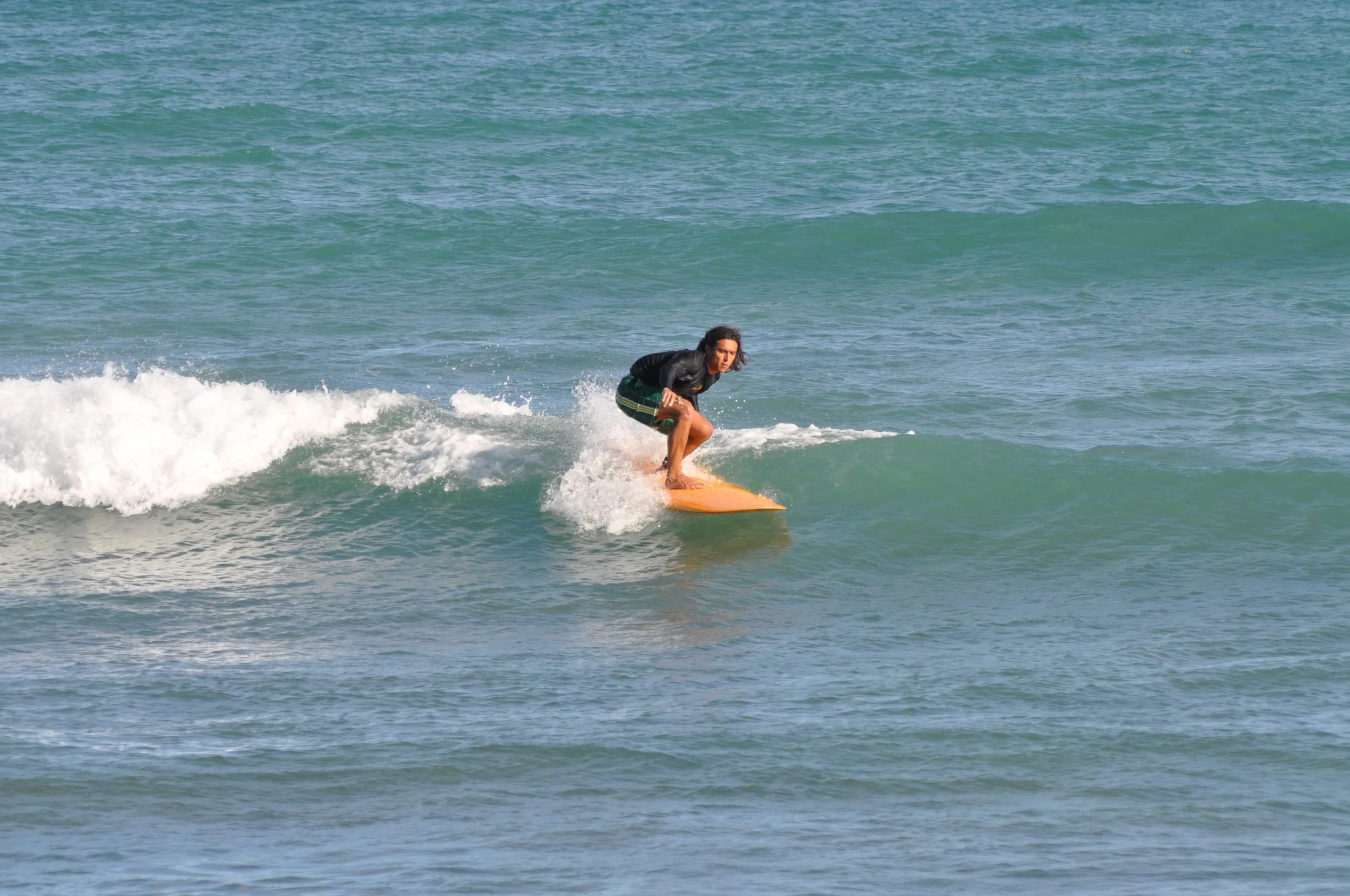 DSC_0435.jpg
