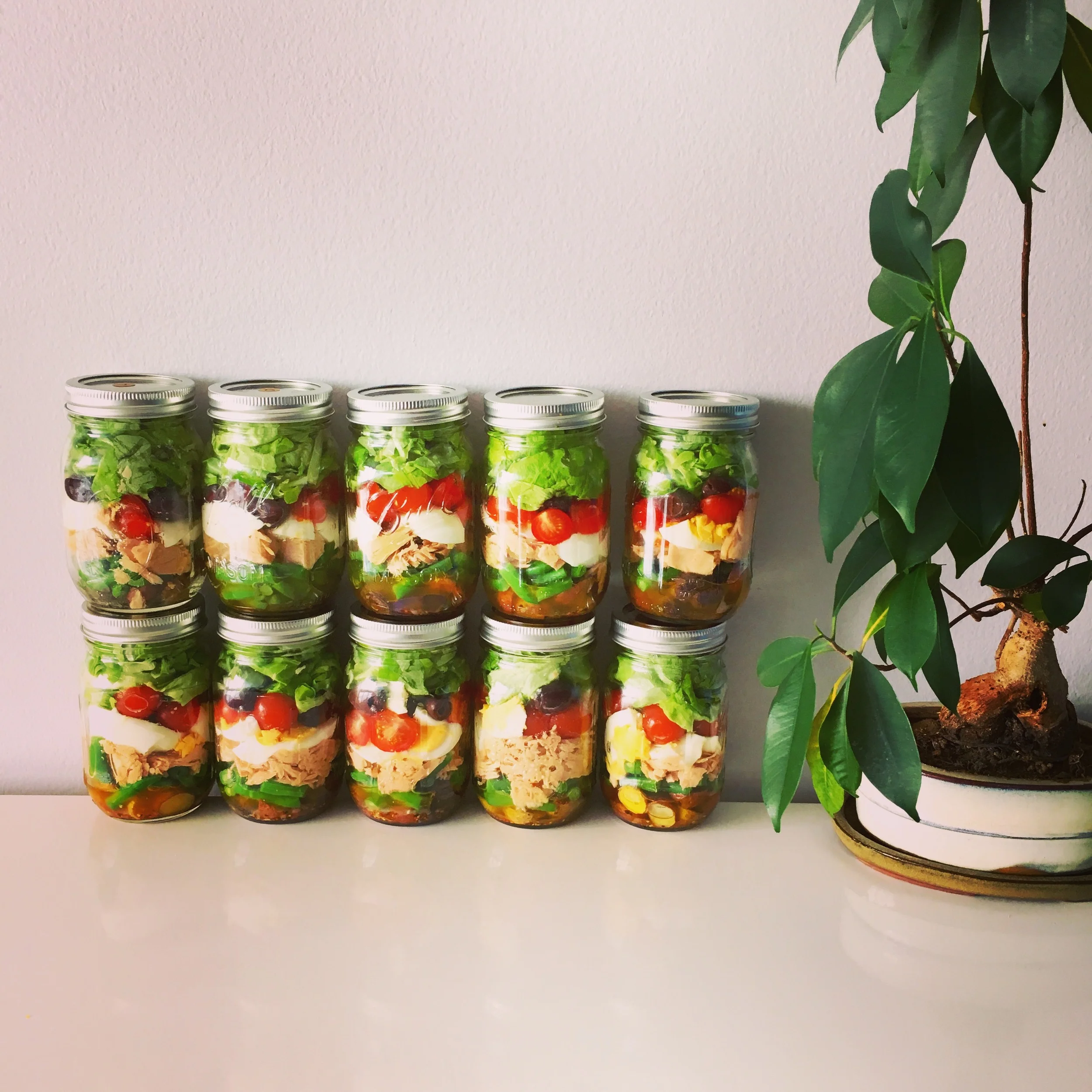 Salade Niçoise under the Bonsai Tree