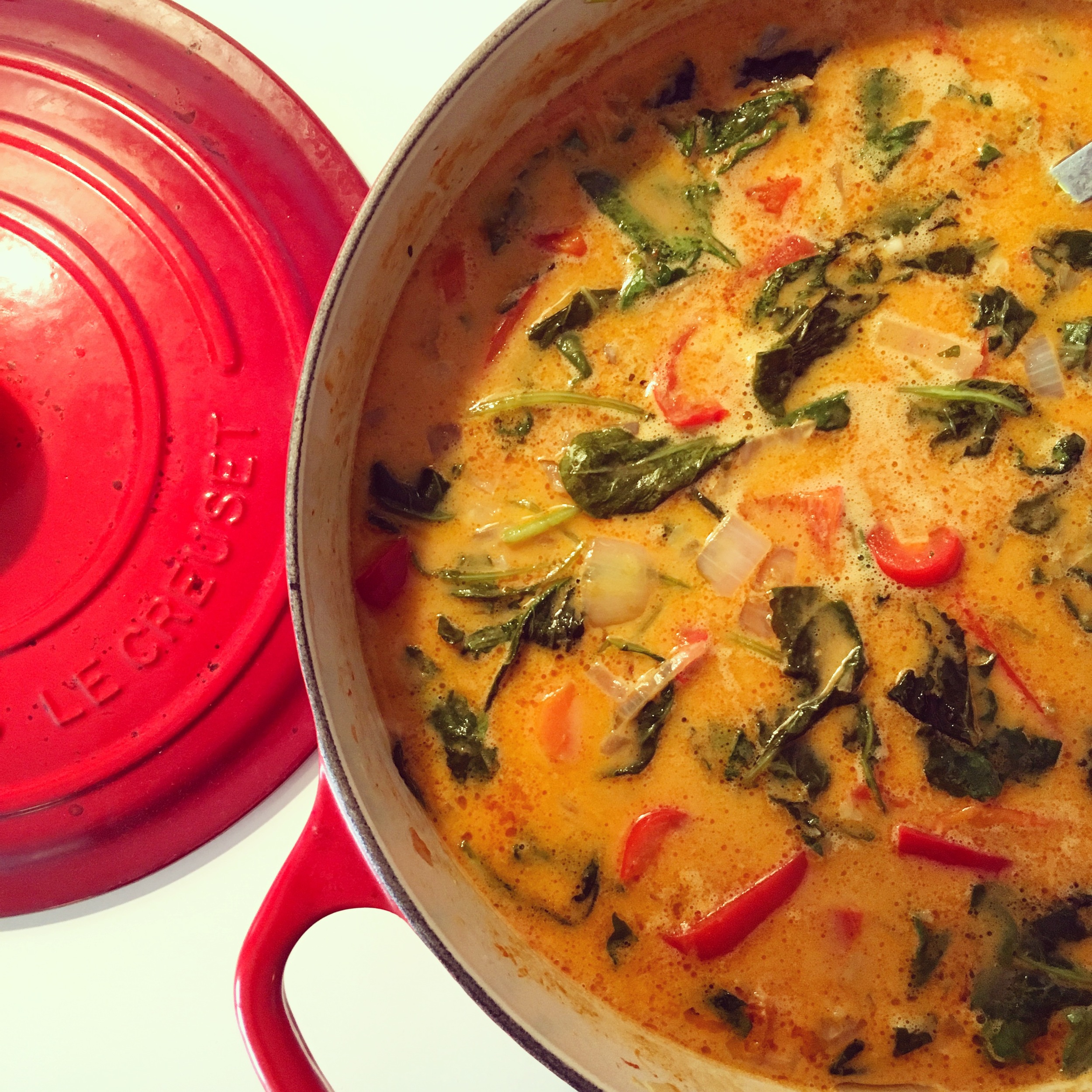 Simmering Coconut Curry 