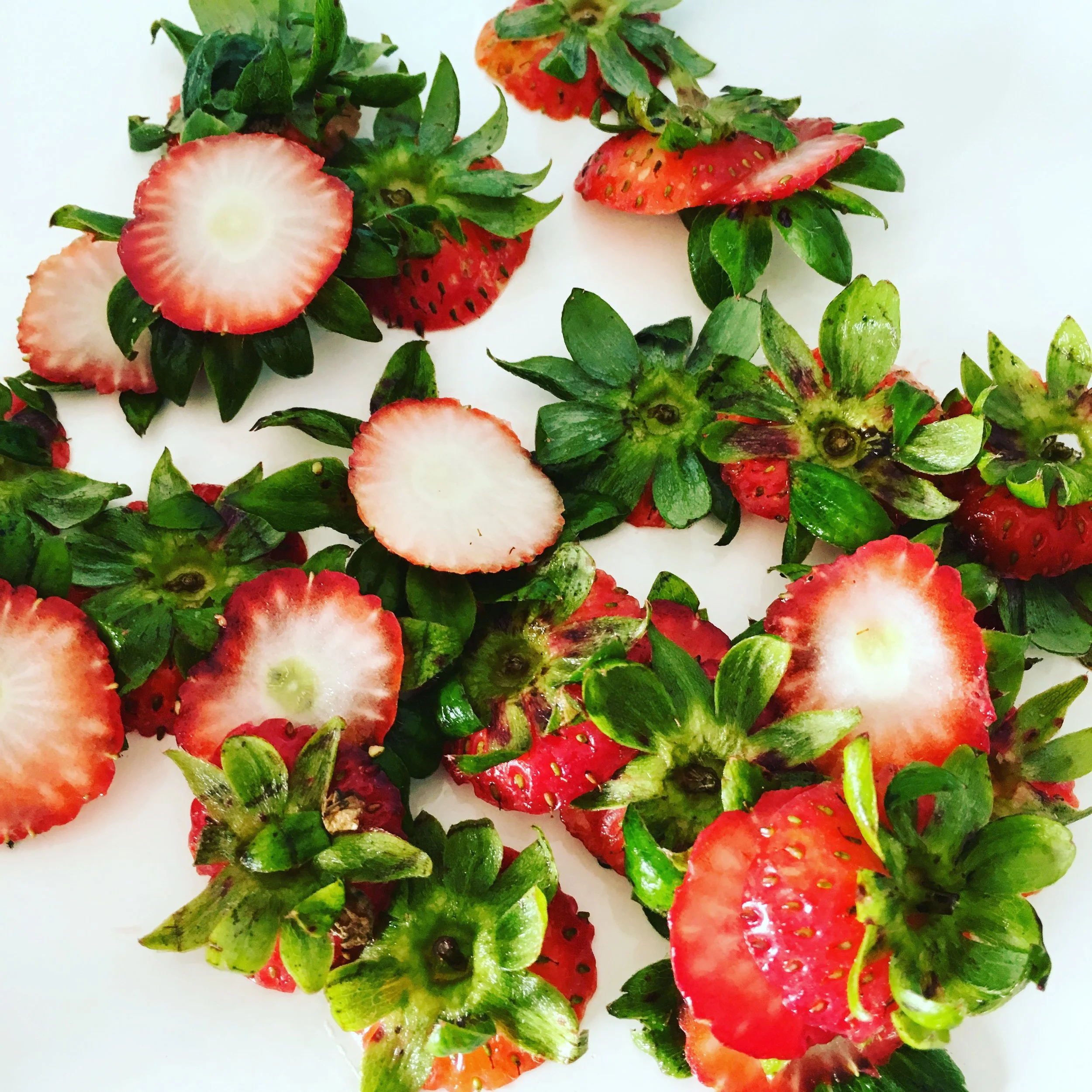 End of Strawberry Season!