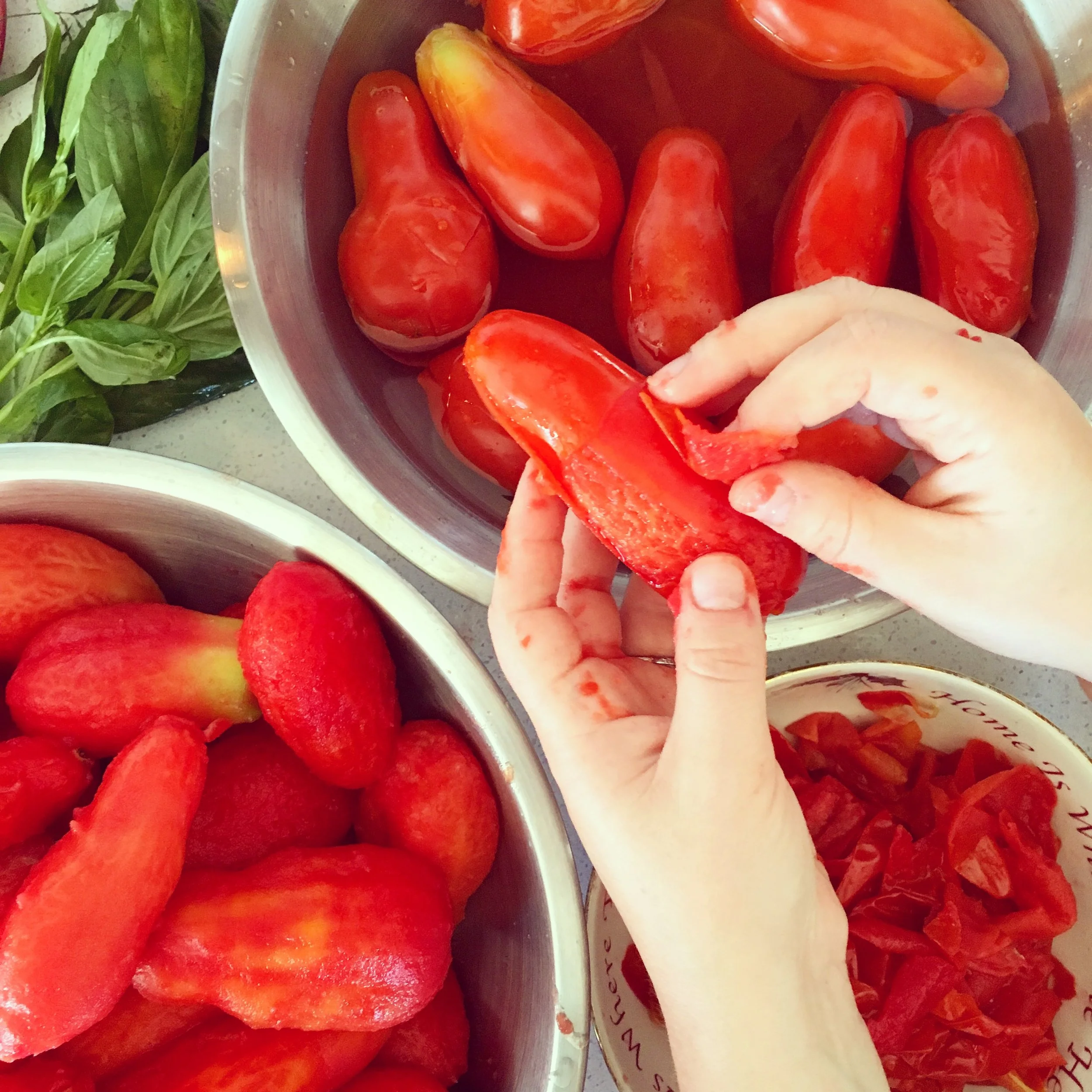 Homemade Tomato Sauce in the making!