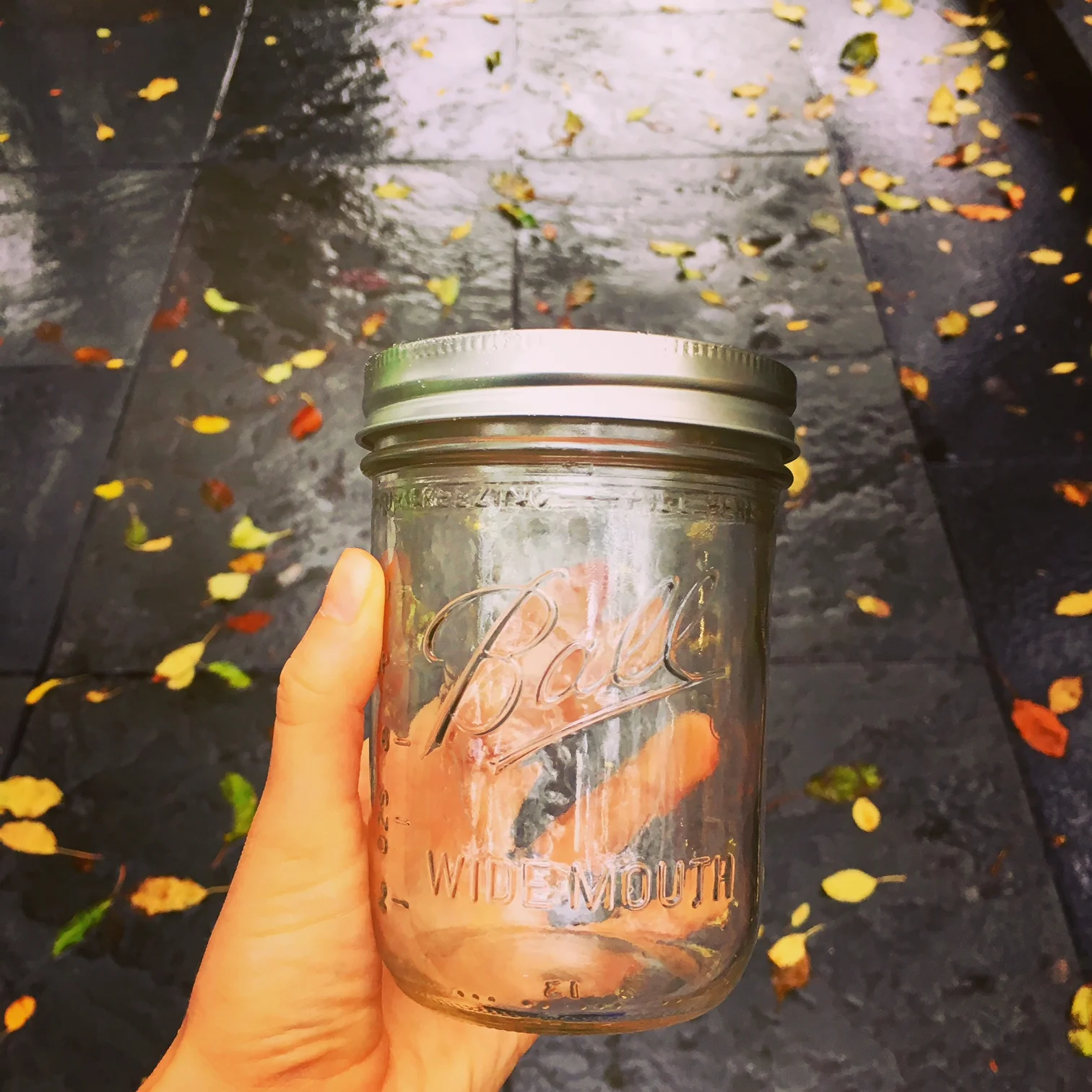 Our new wide mouth mason jars!