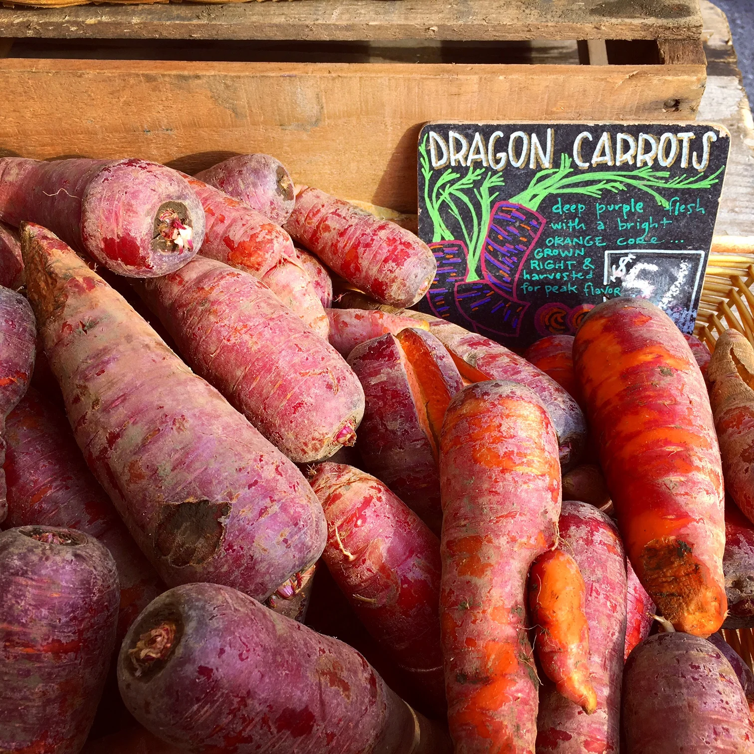 Tamarack Farms Dragon Carrots! 