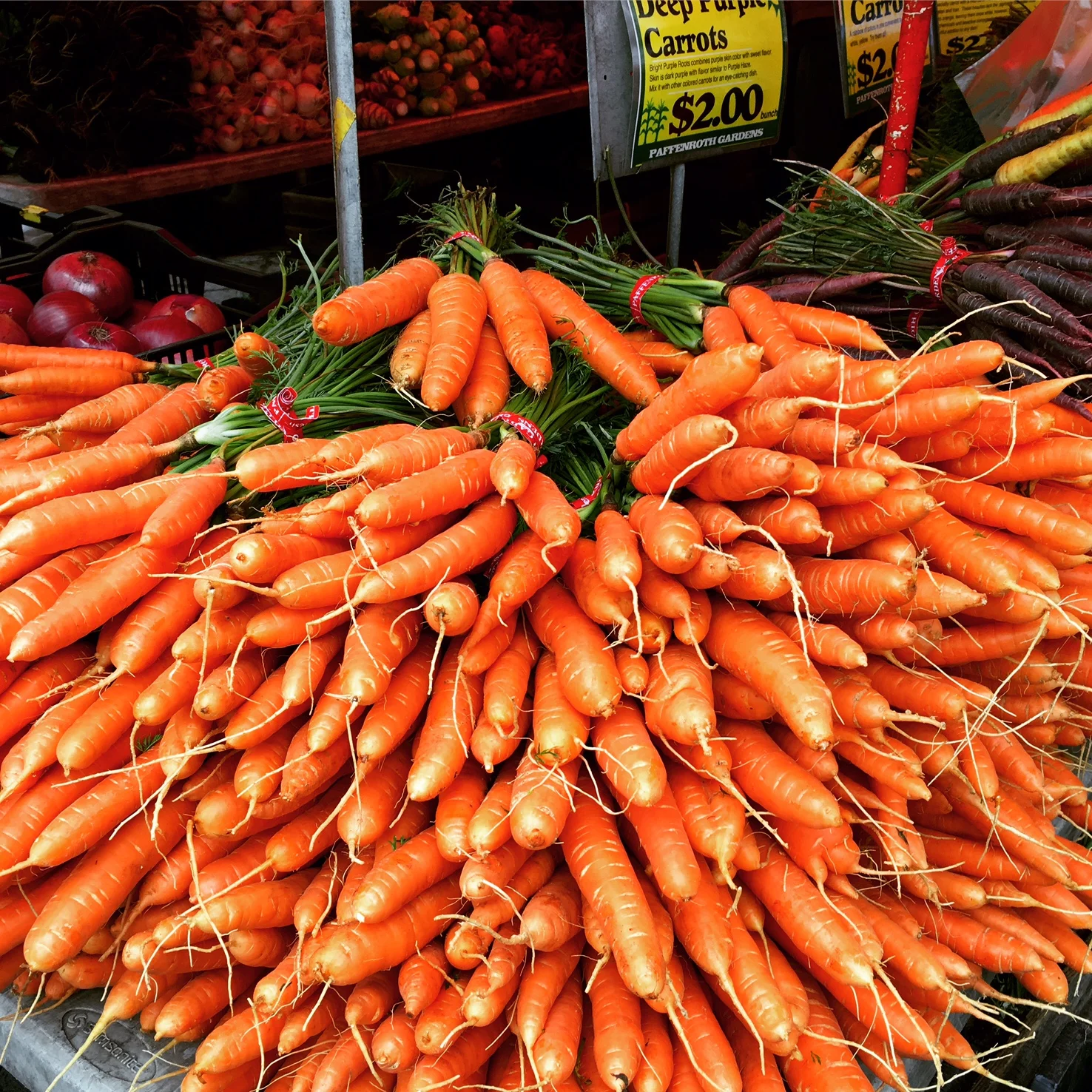 Carrots from the union square greenmarket!