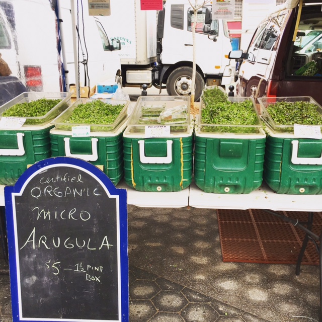 Farmers Market Microgreens!