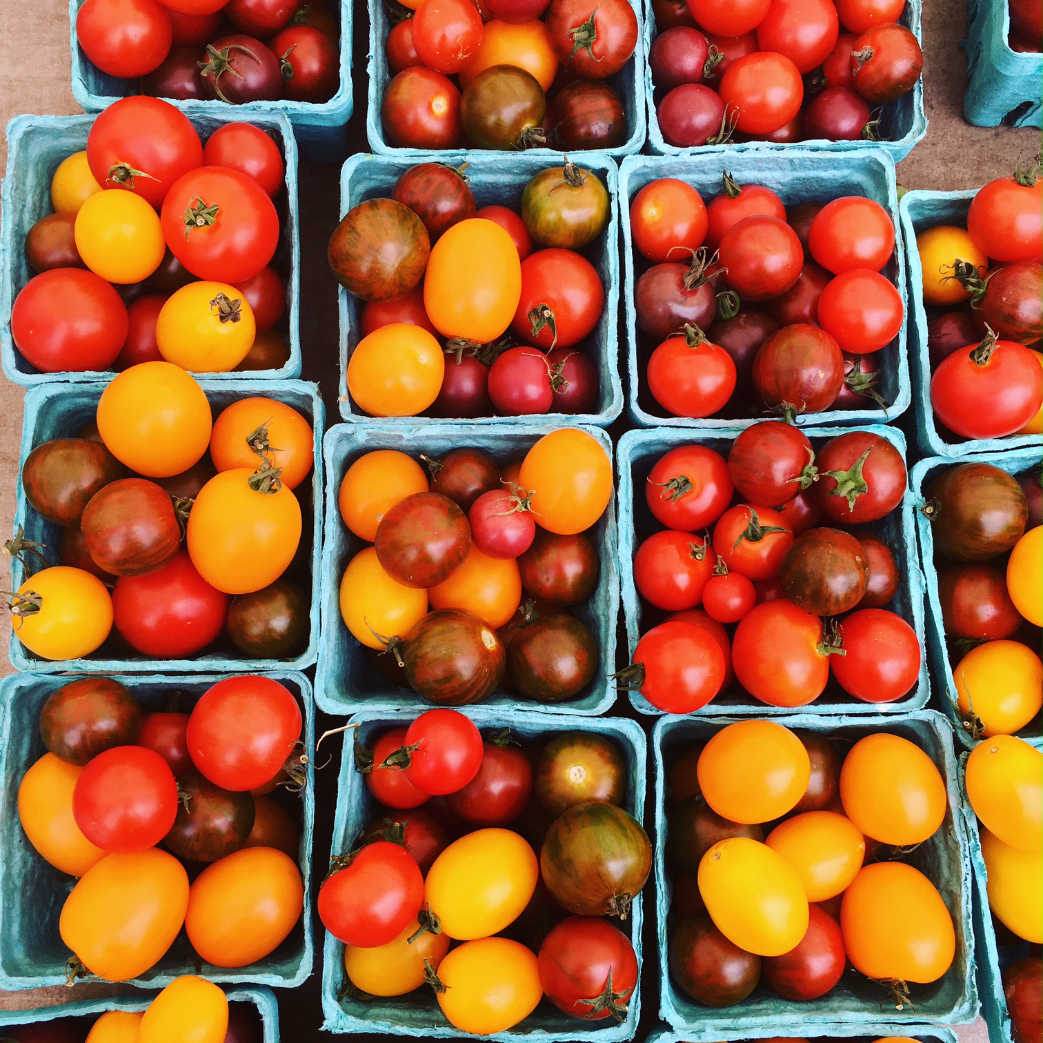 Stokes Farm Cherry Tomatoes