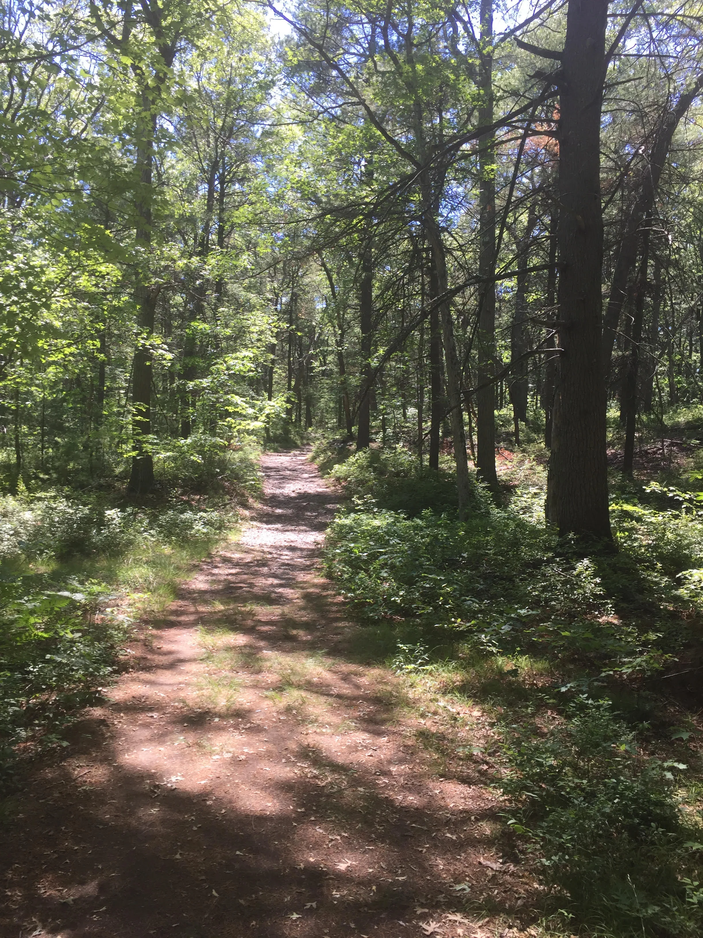 Being Outside & Drinking Smoothies