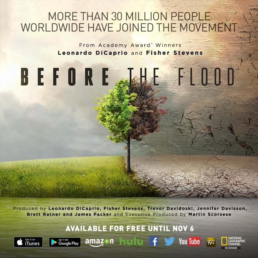 Before the Flood (Copy)
