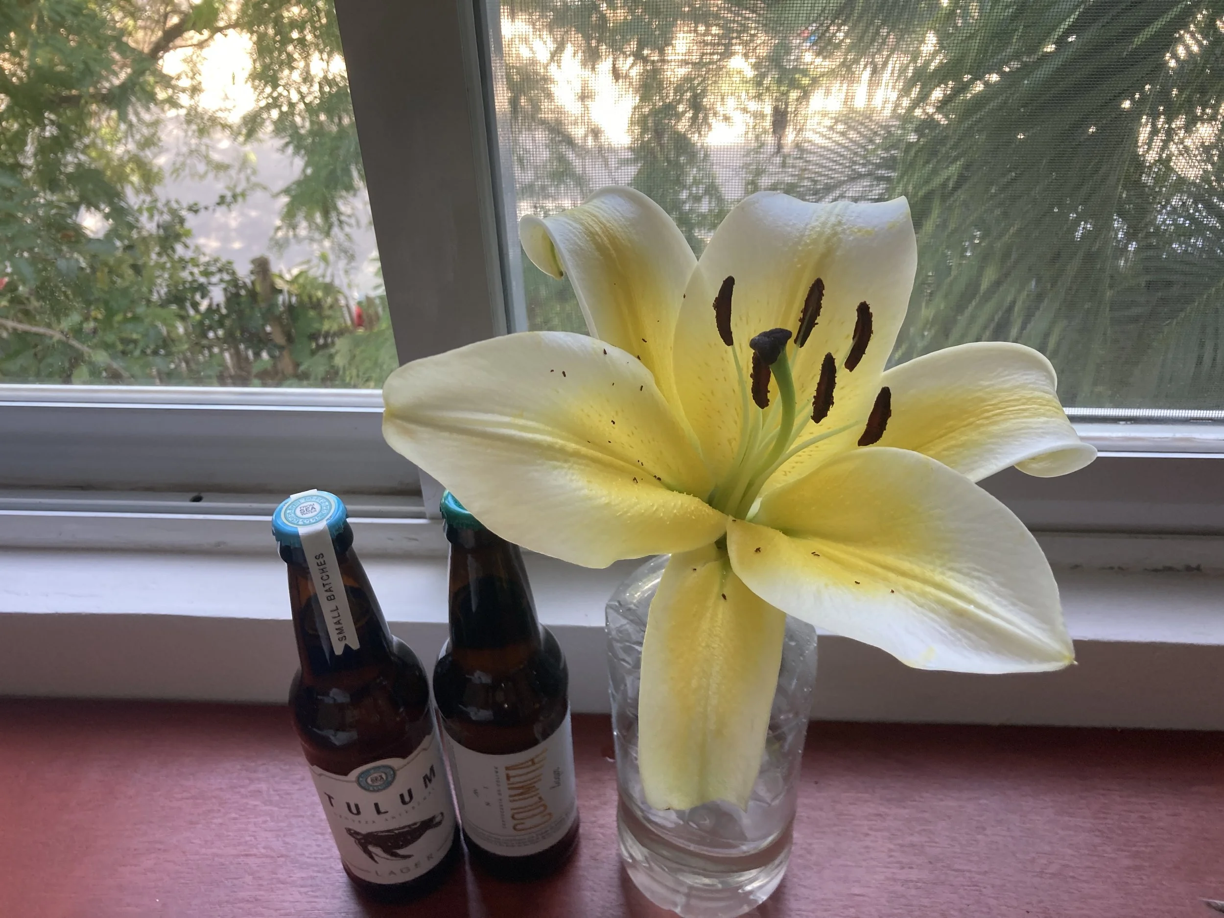  I Left My Heart in Mexico