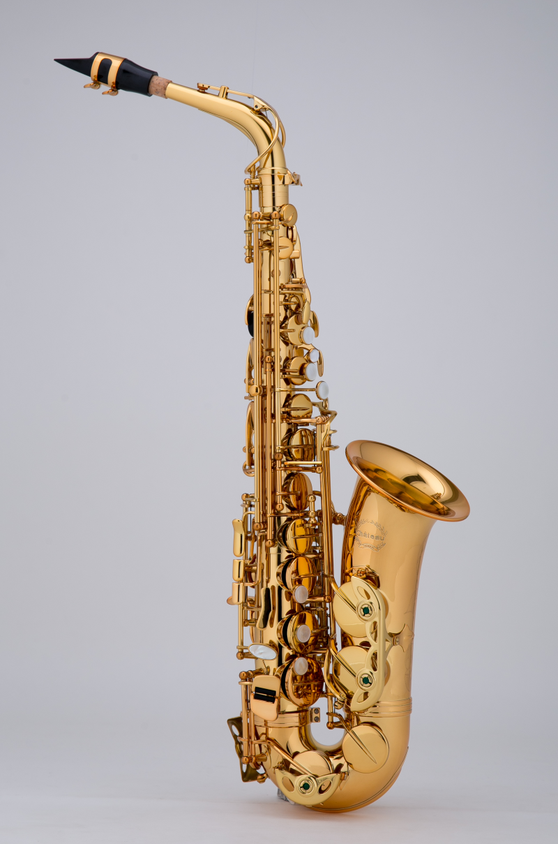 CHÂTEAU VALENCAY ALTO SAXOPHONE