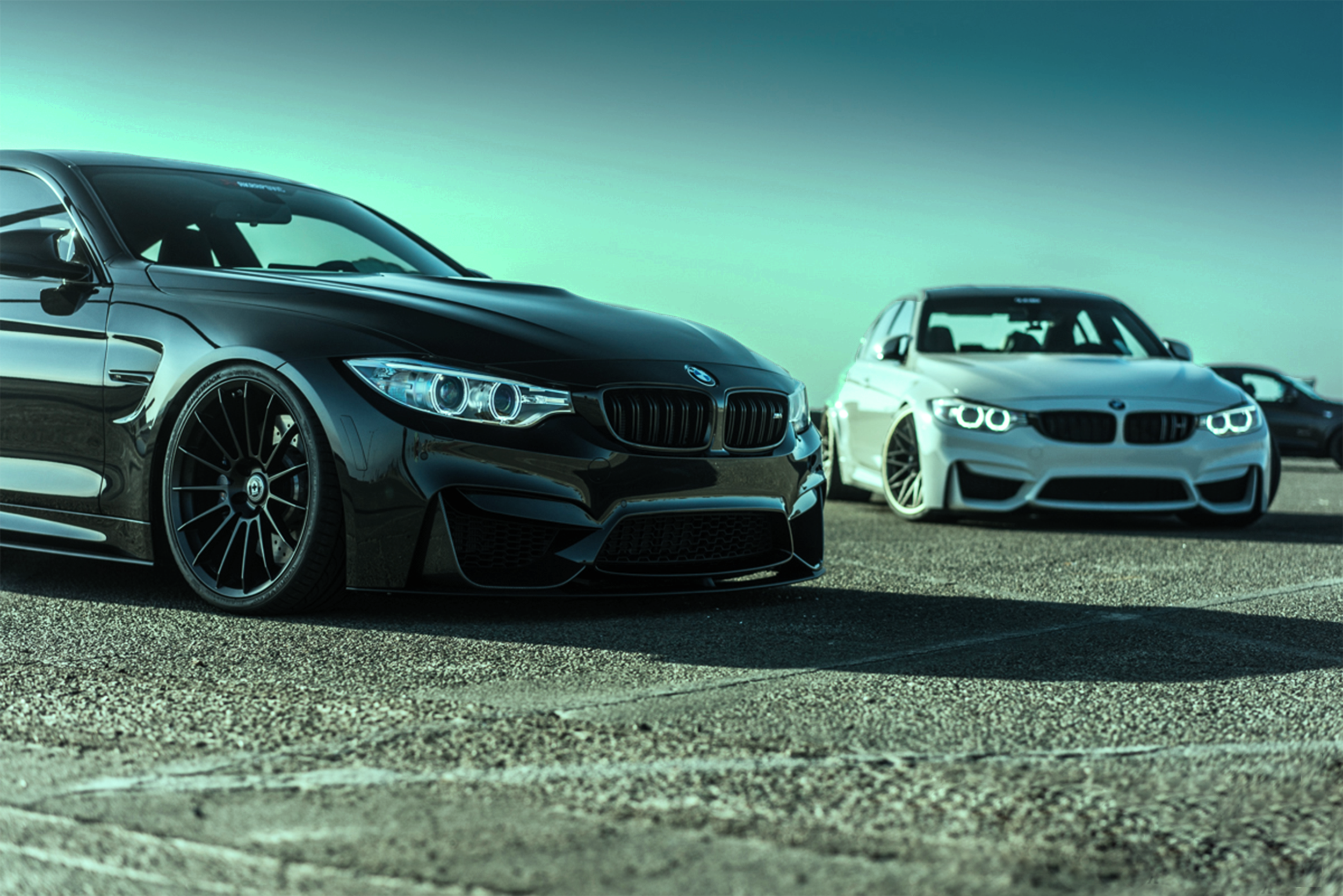 F8X Blue Tint Store Banner.png