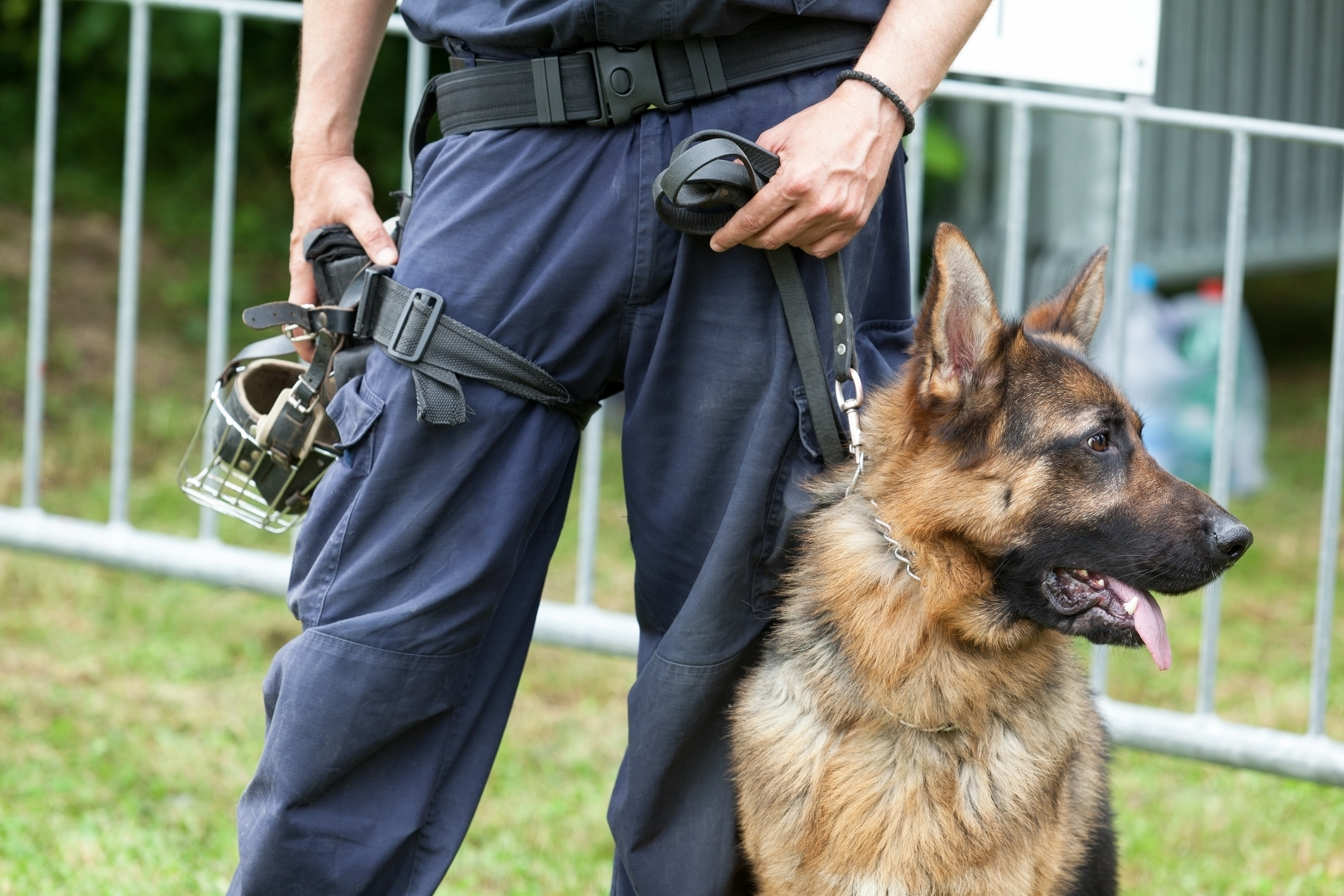 PA Supreme Court: Consent to Search Car Does Not Necessarily Include Consent to K9 Search